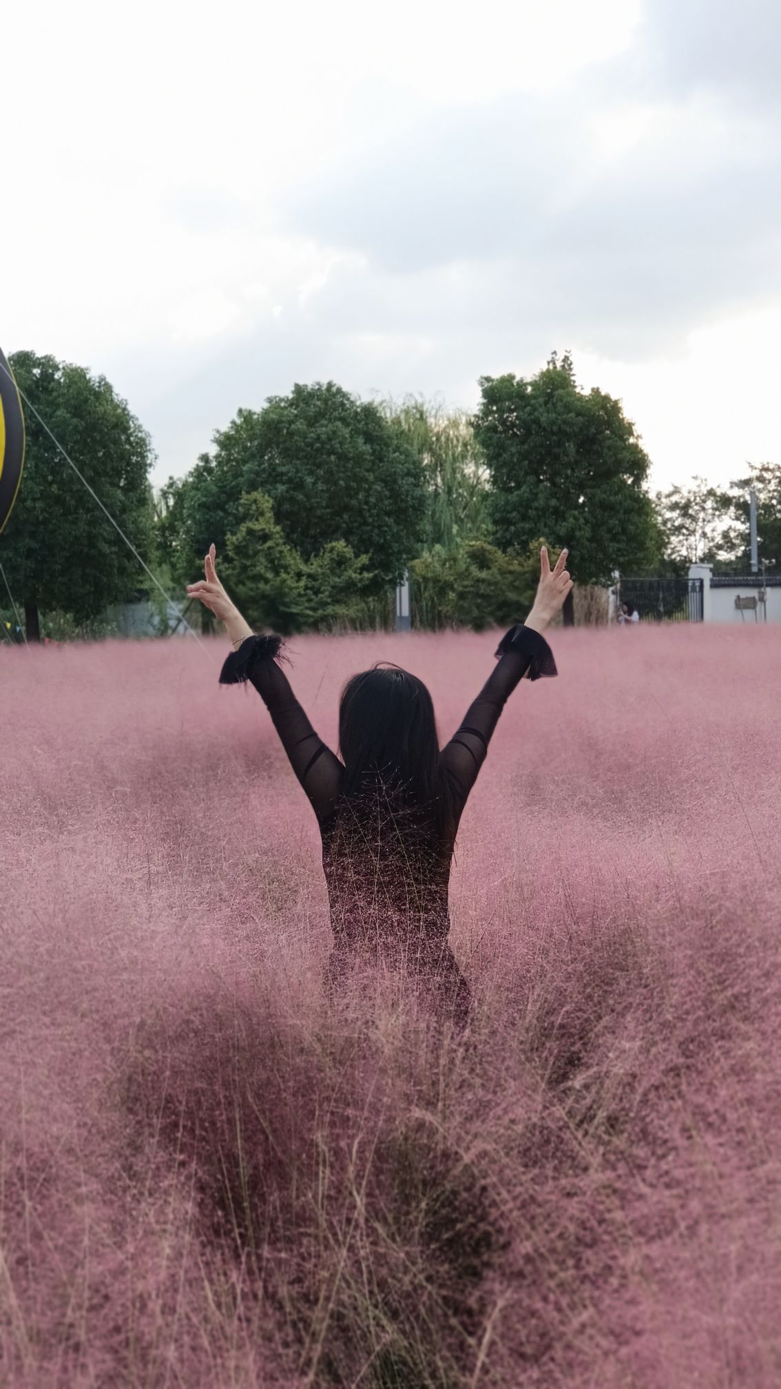 陌上花渡旅行图片 1