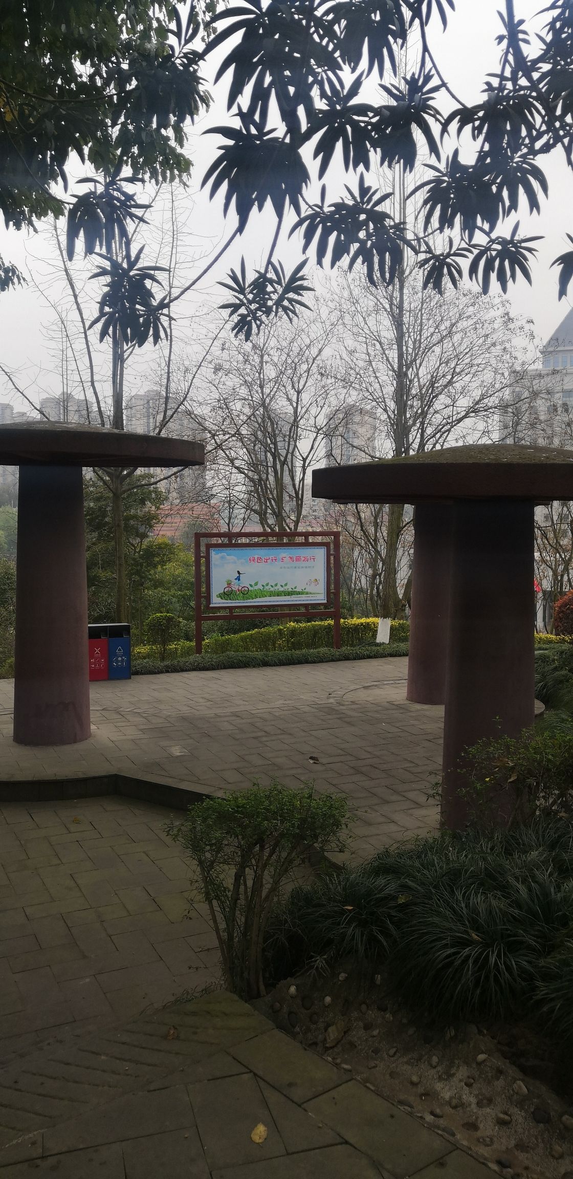 泸州市建设公园旅行图片 2