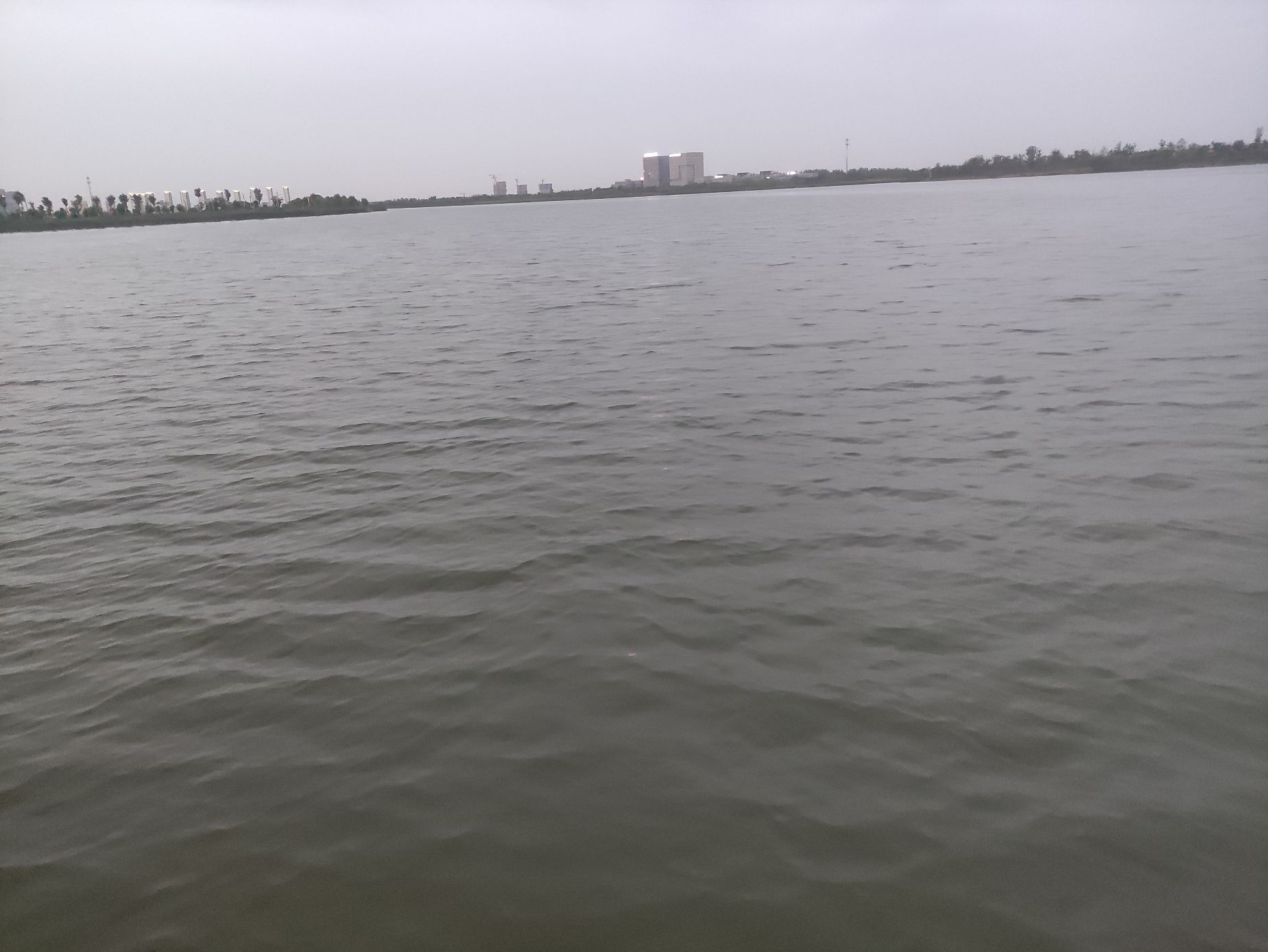 謇公湖植物园旅行图片 3