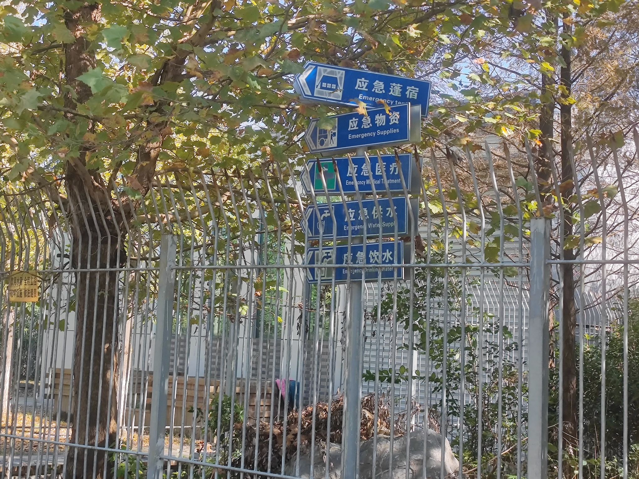 謇公湖植物园旅行图片 2