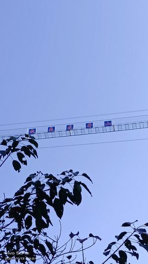 龙井山旅行图片 2