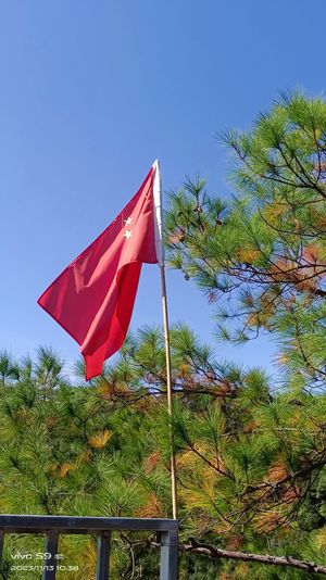 龙井山旅行图片 1