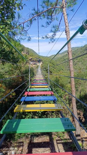 龙井山旅行图片 3