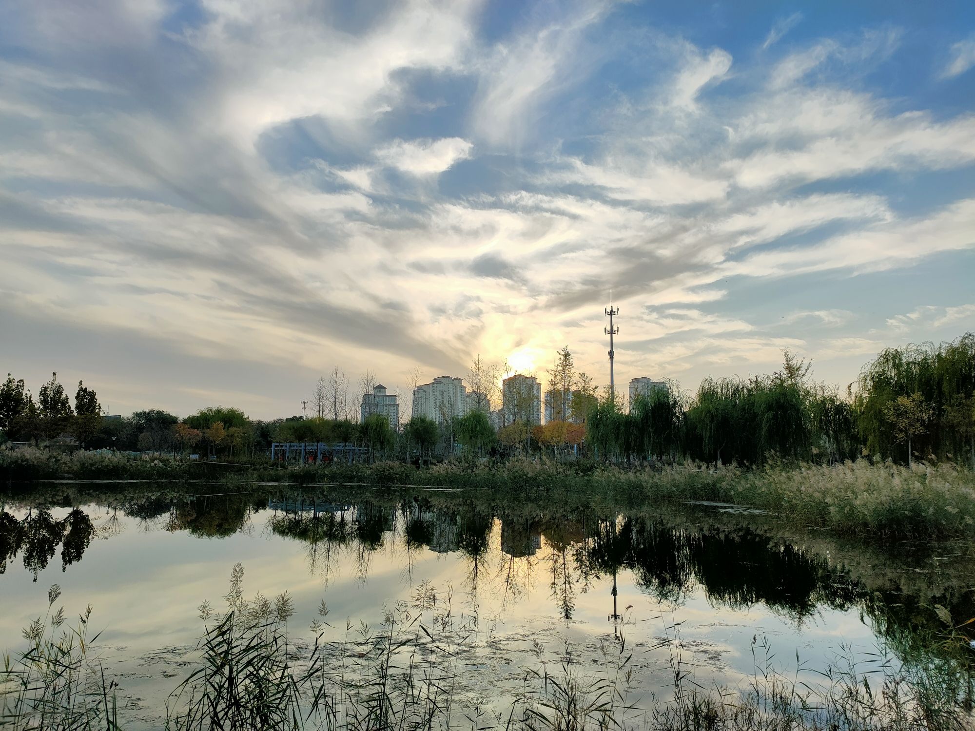 滏东公园旅行图片 3