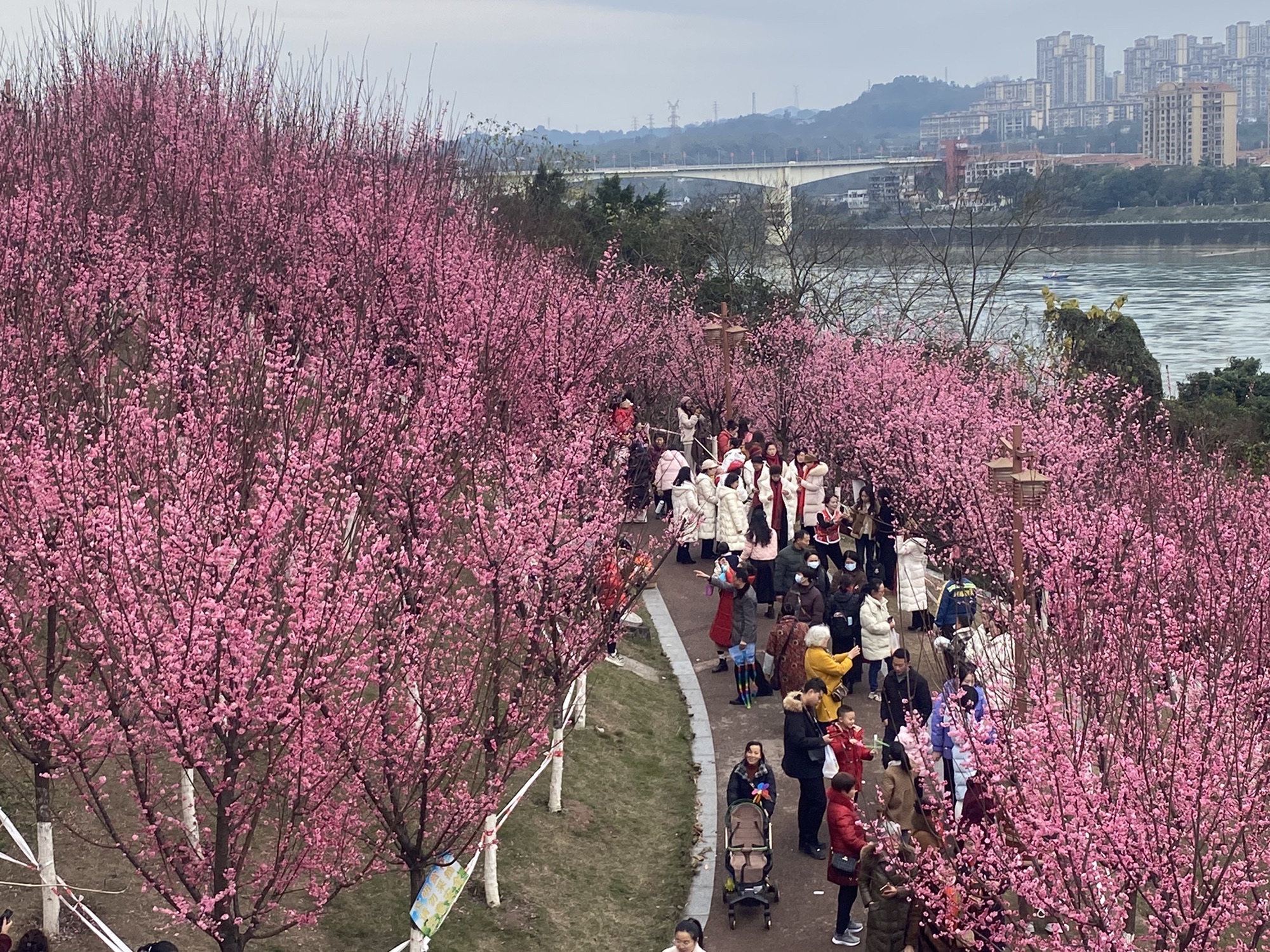 三道桥公园旅行图片 1