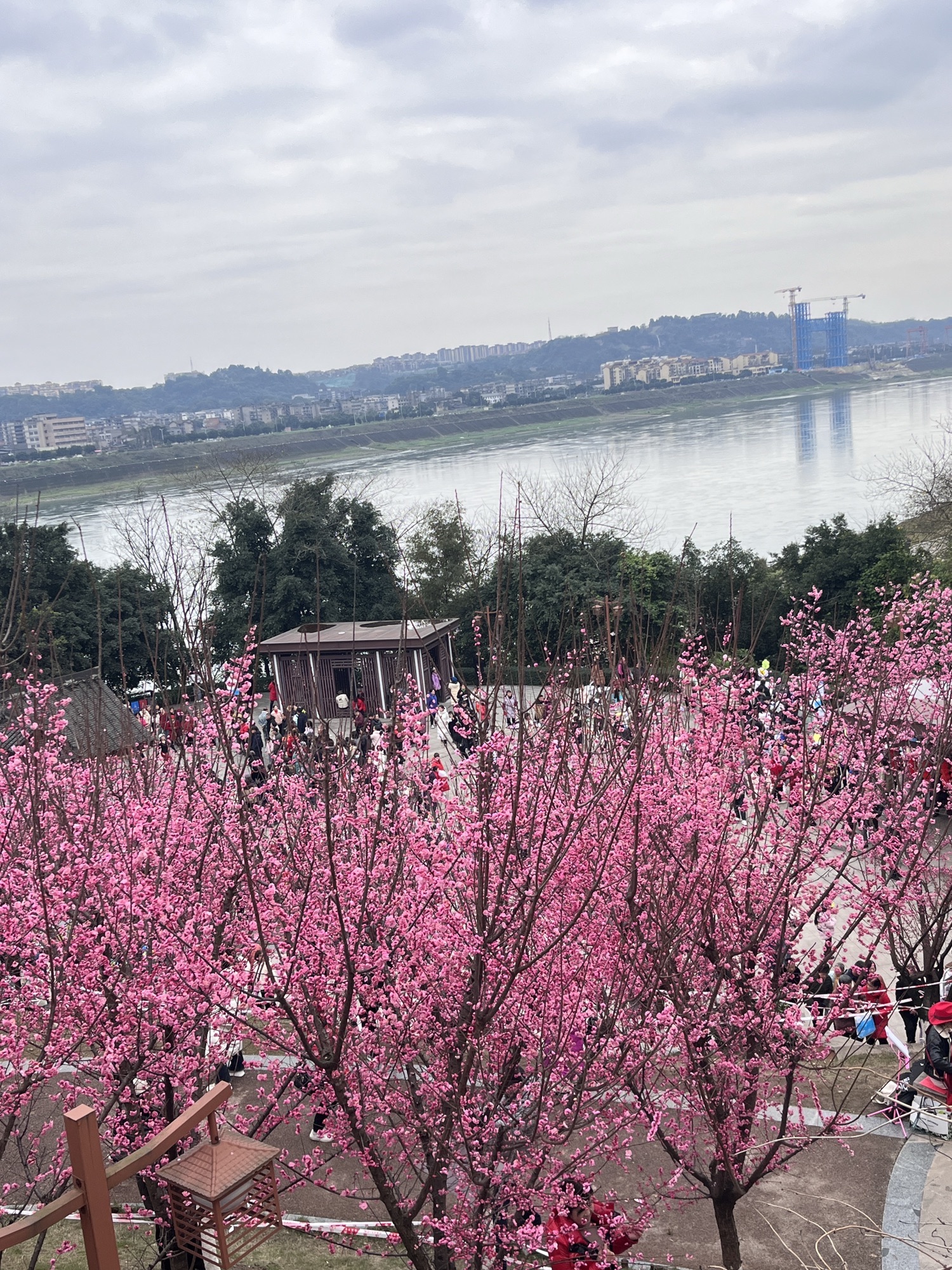 三道桥公园旅行图片 3