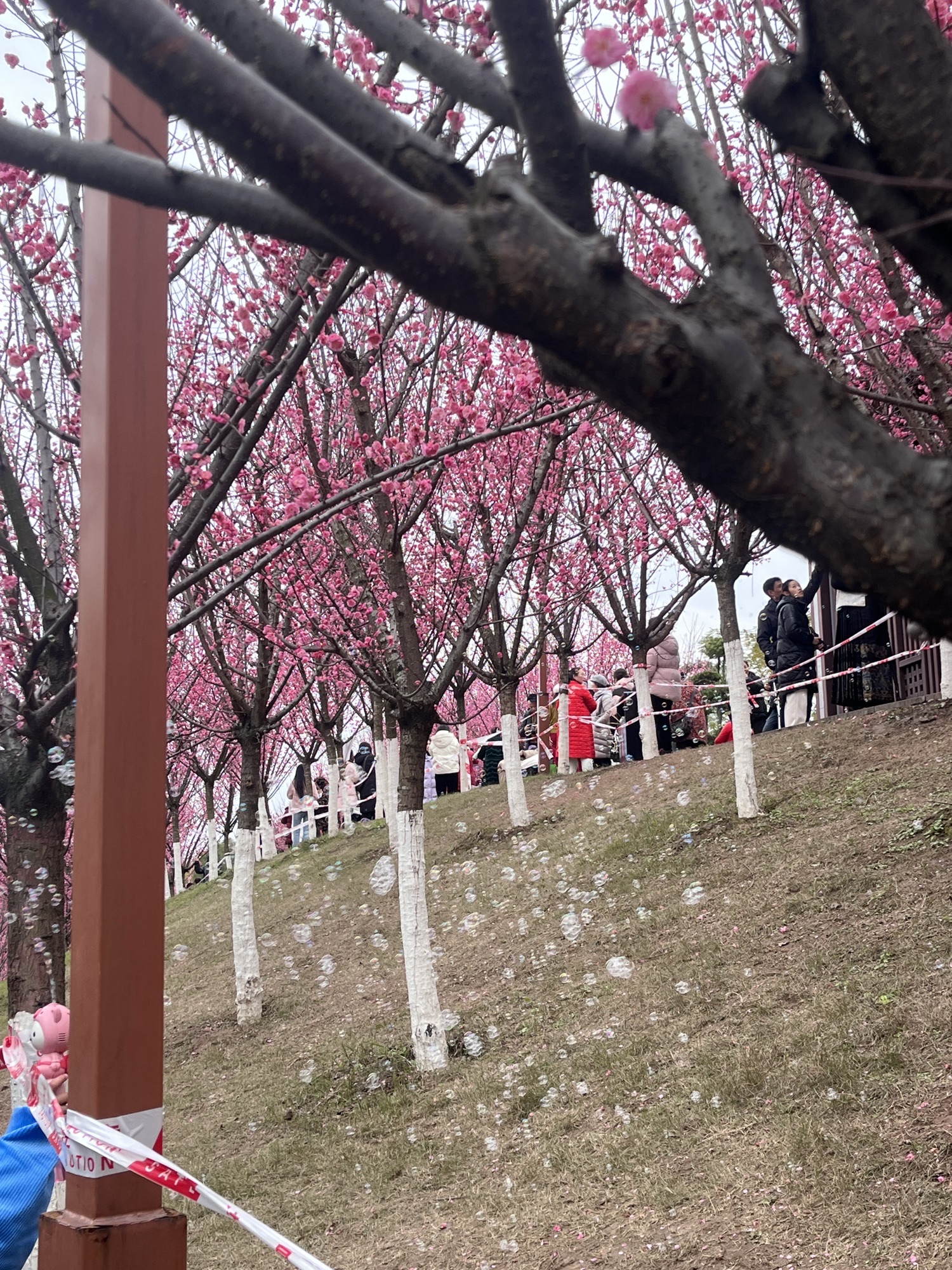 三道桥公园旅行图片 1