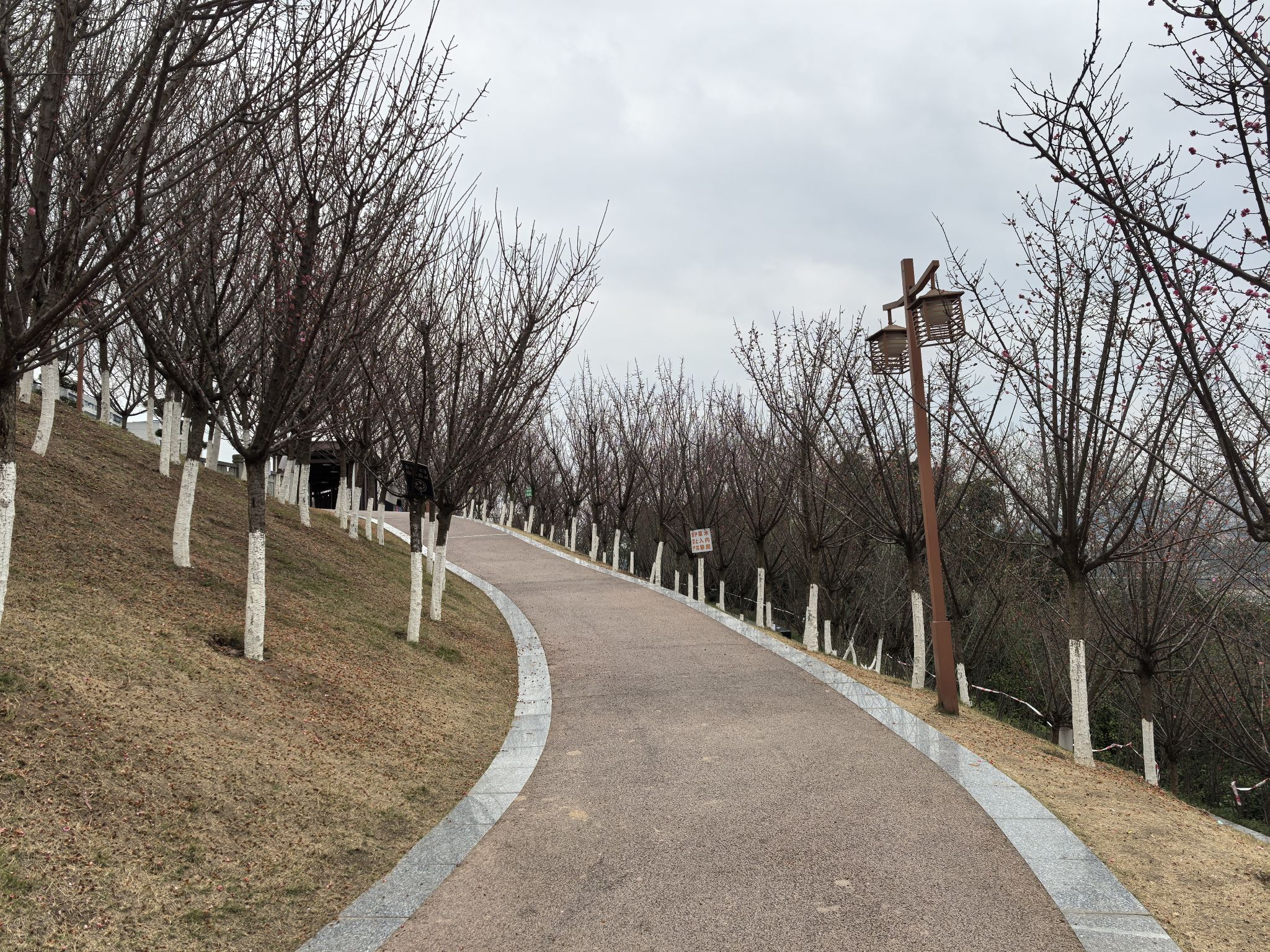 三道桥公园旅行图片 1