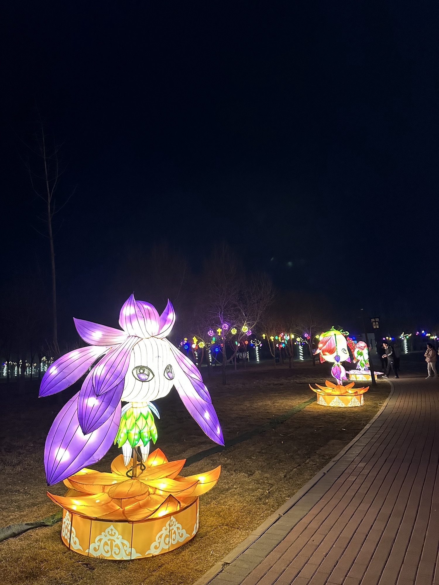 宝云公园旅行图片 3