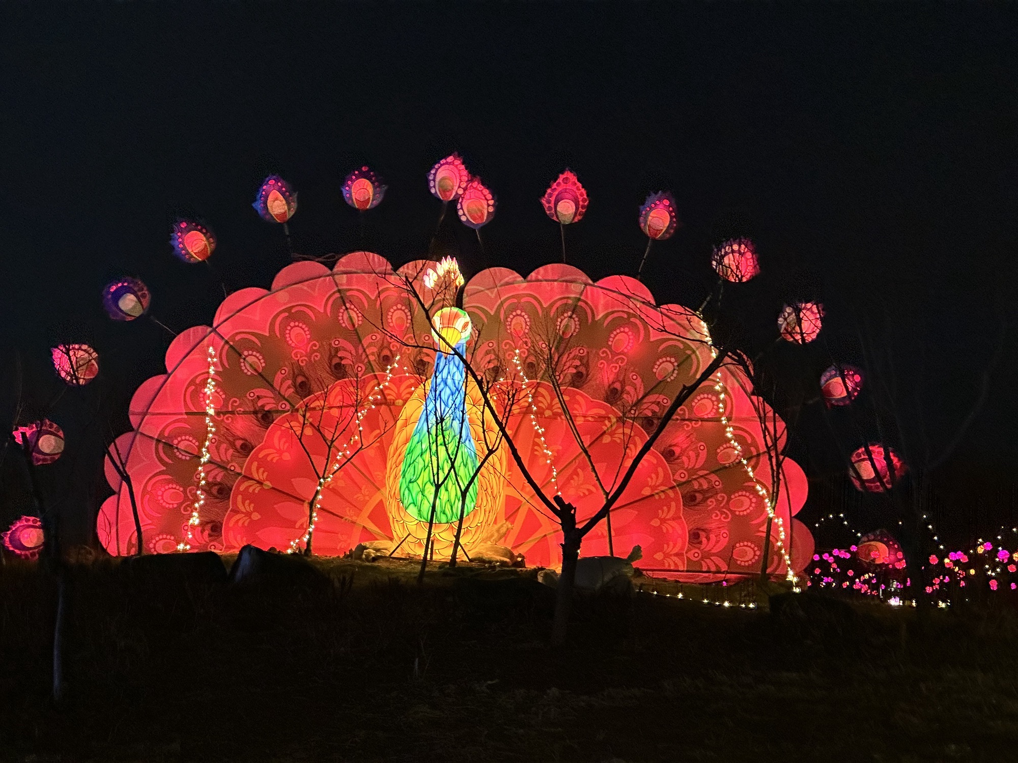 宝云公园旅行图片 1