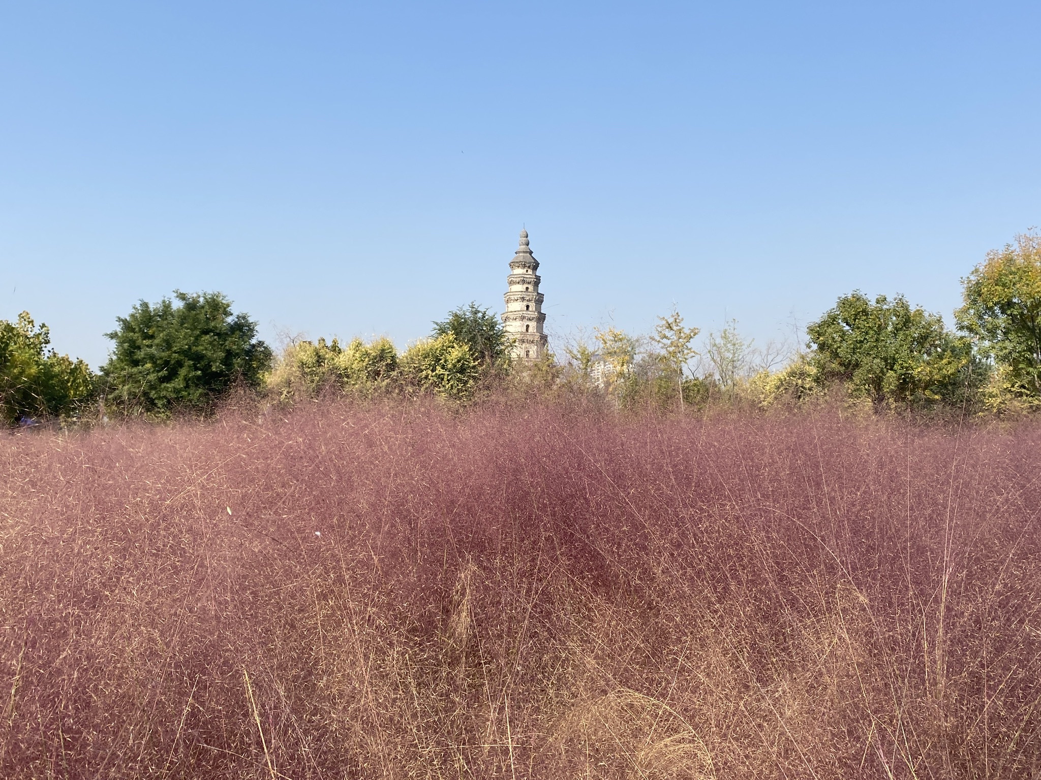 宝云公园旅行图片 3