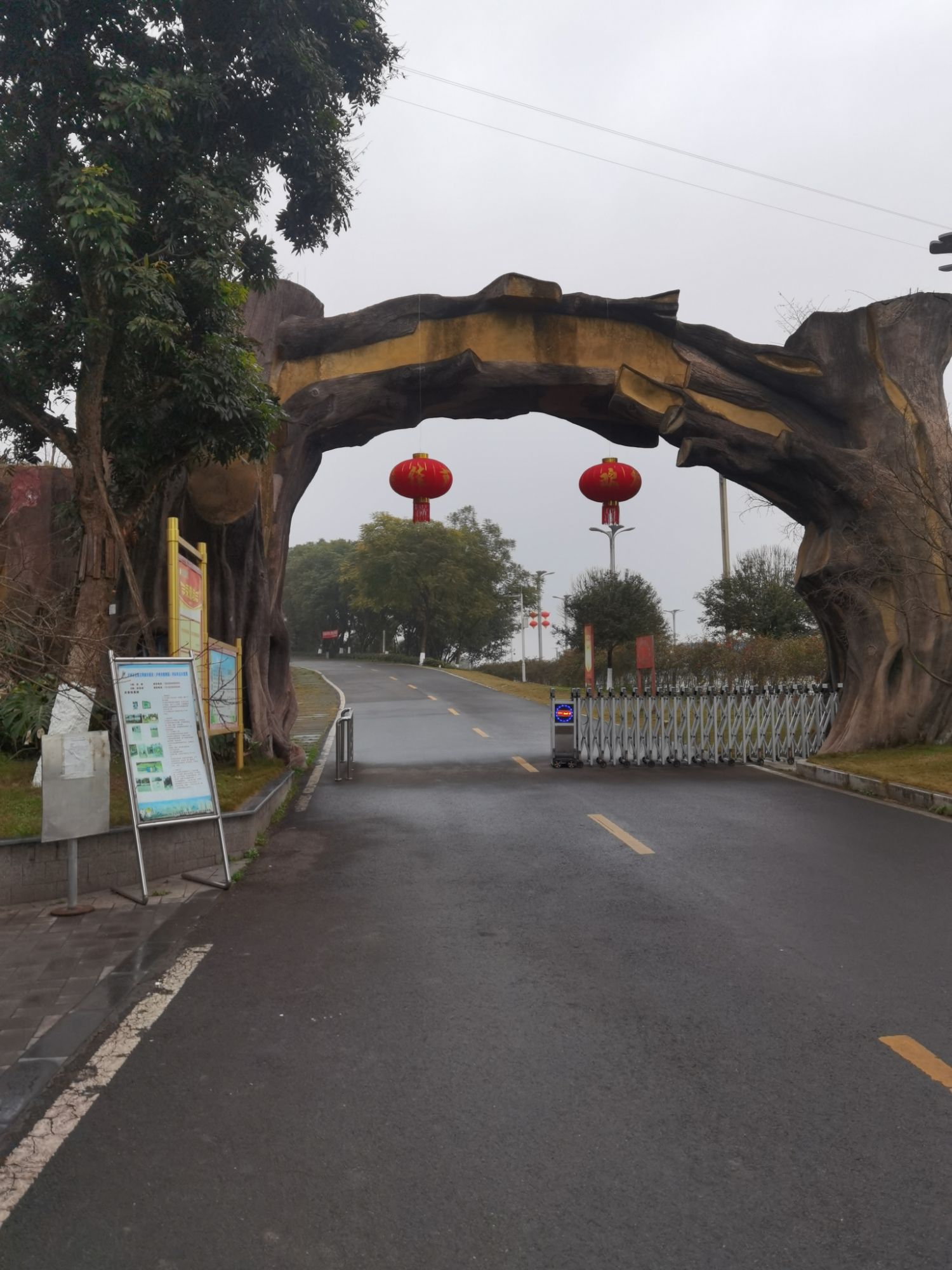泸州市植物园旅行图片 1