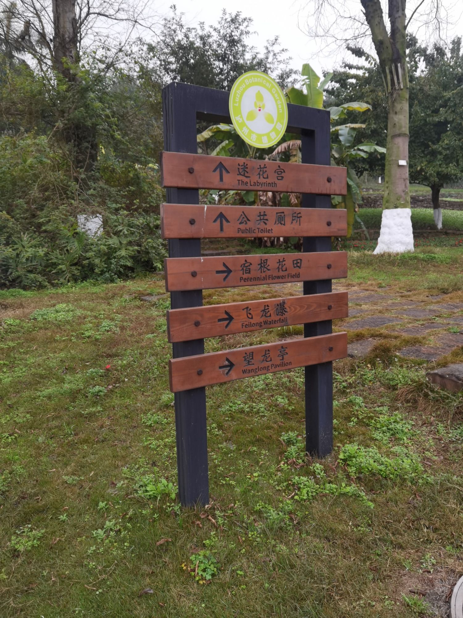 泸州市植物园旅行图片 2