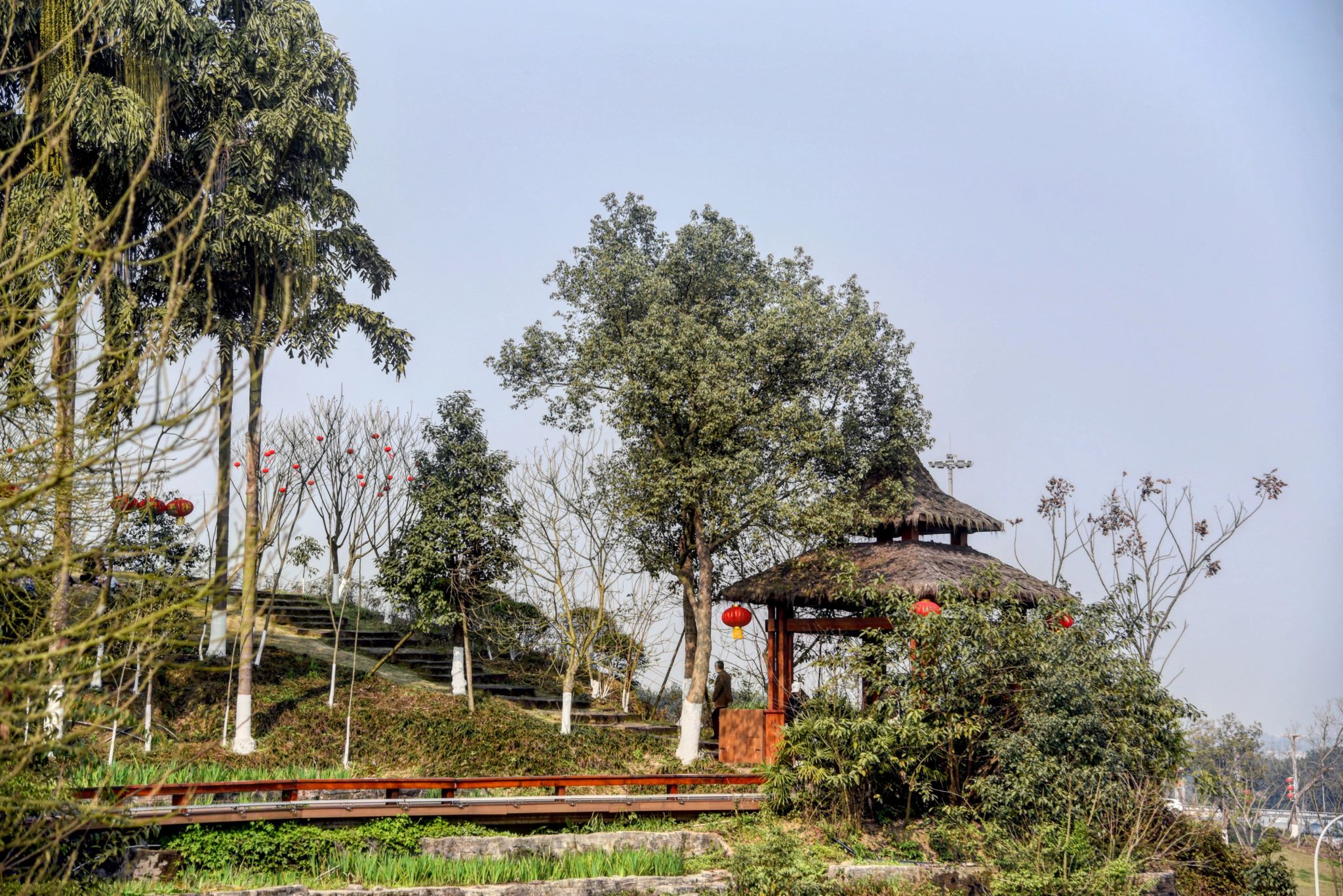 泸州市植物园旅行图片 1