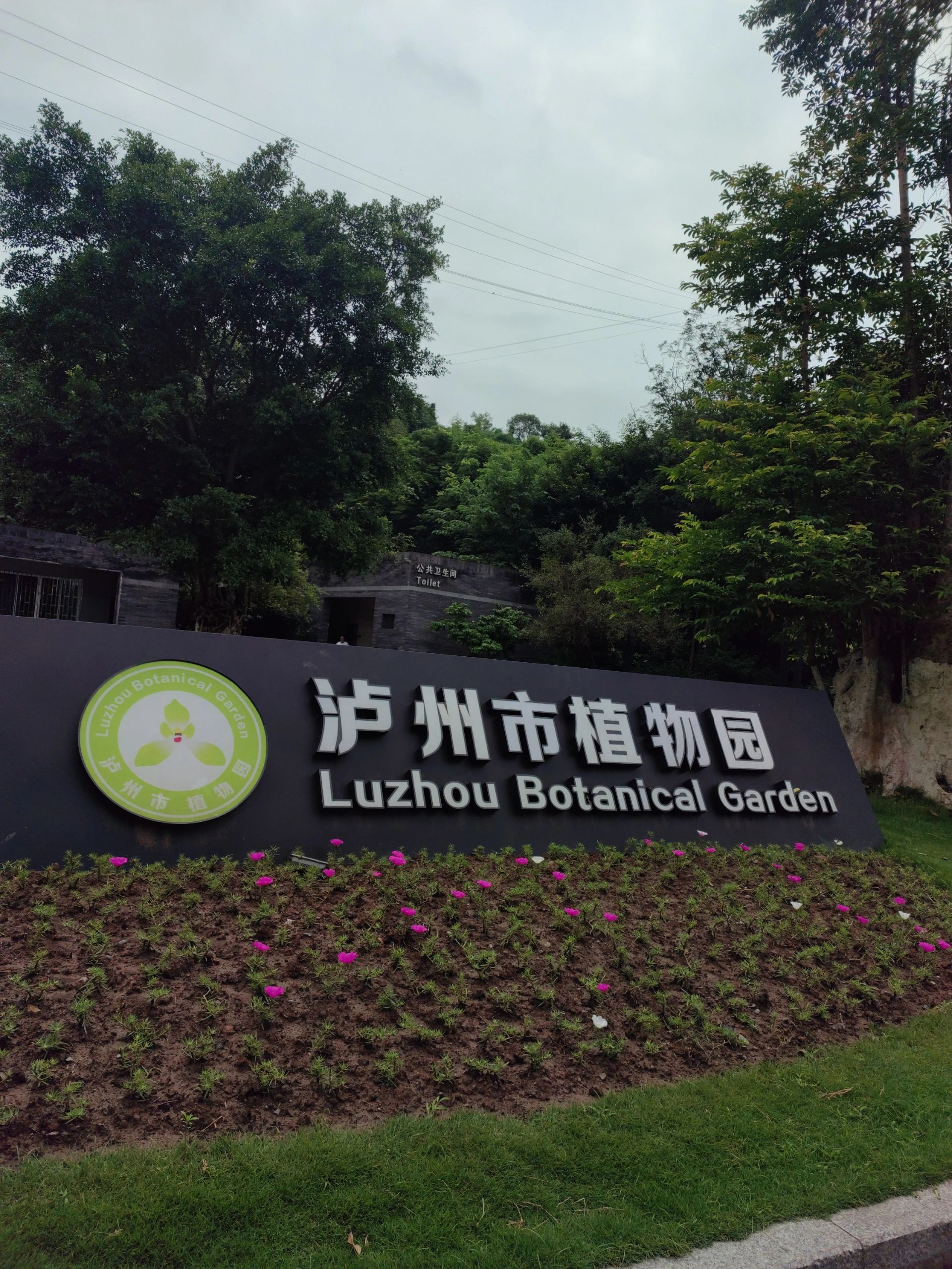 泸州市植物园旅行图片 1