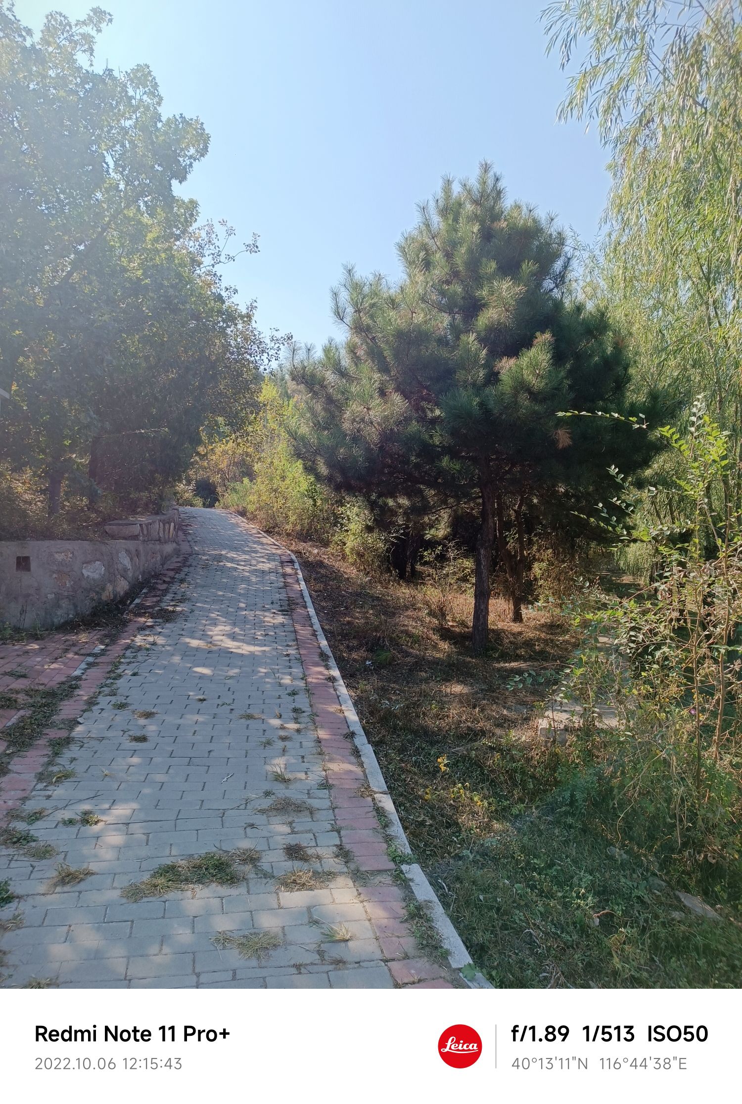呼奴山旅行图片 2