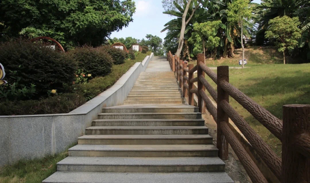 春岗山公园旅行图片 3