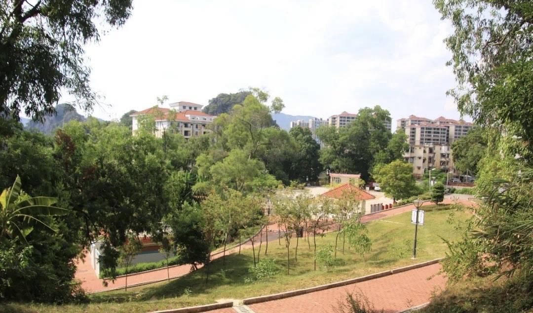 春岗山公园旅行图片 1