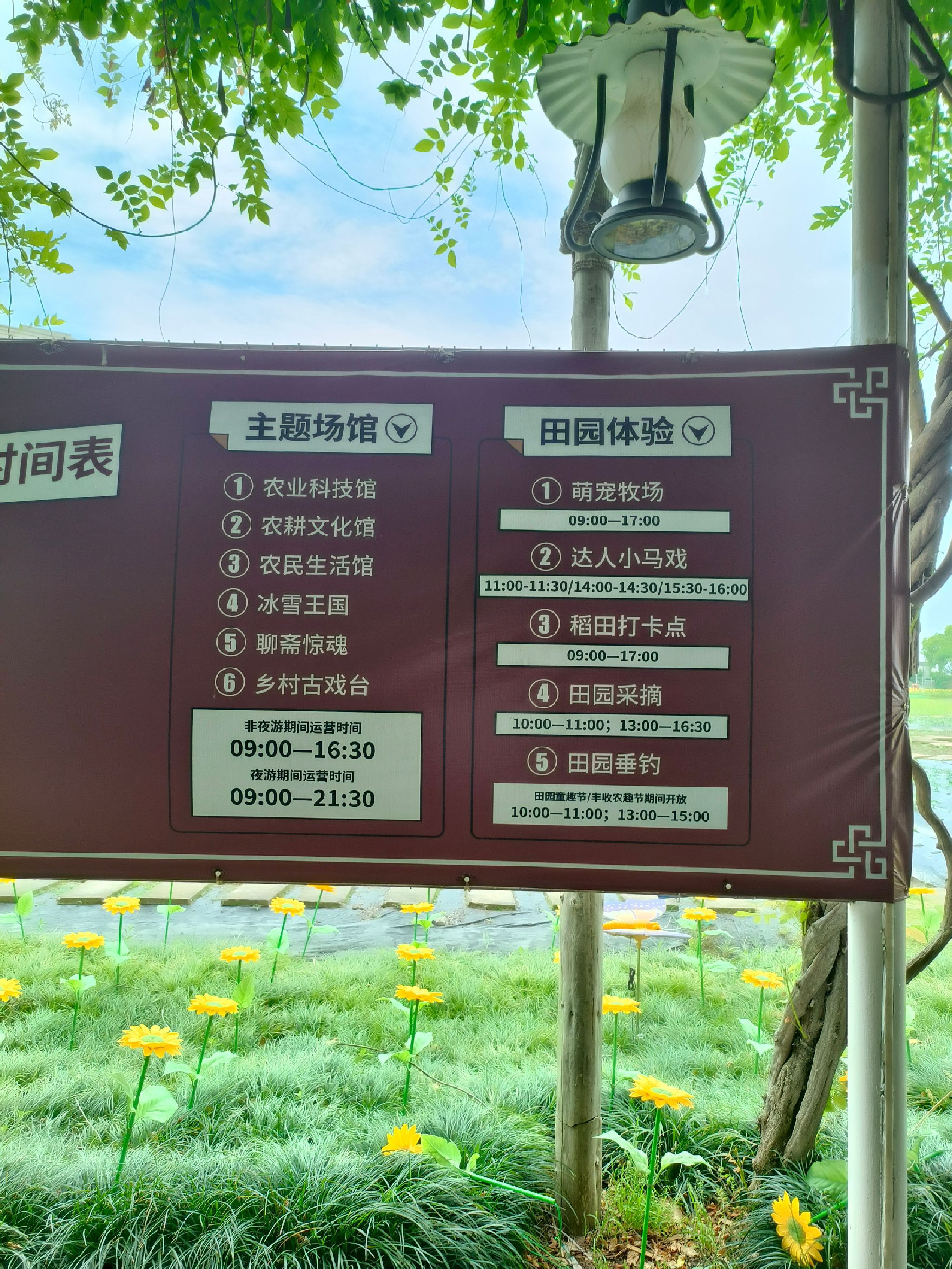 达人村旅行图片 2