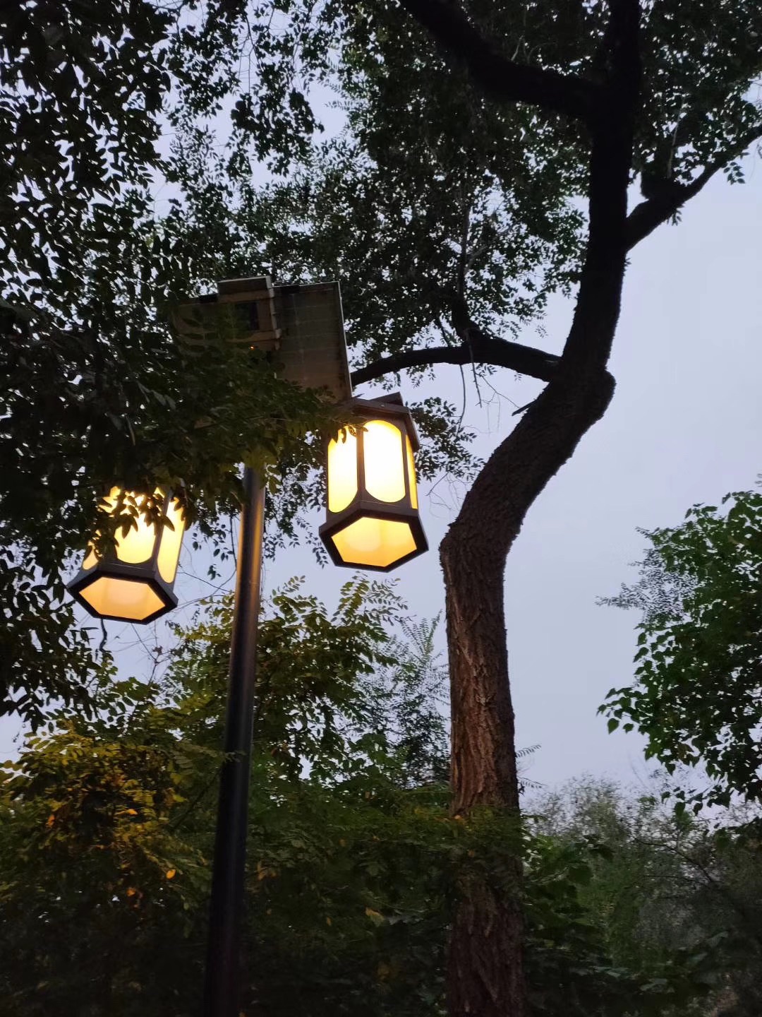 张家楼风景区旅行图片 3