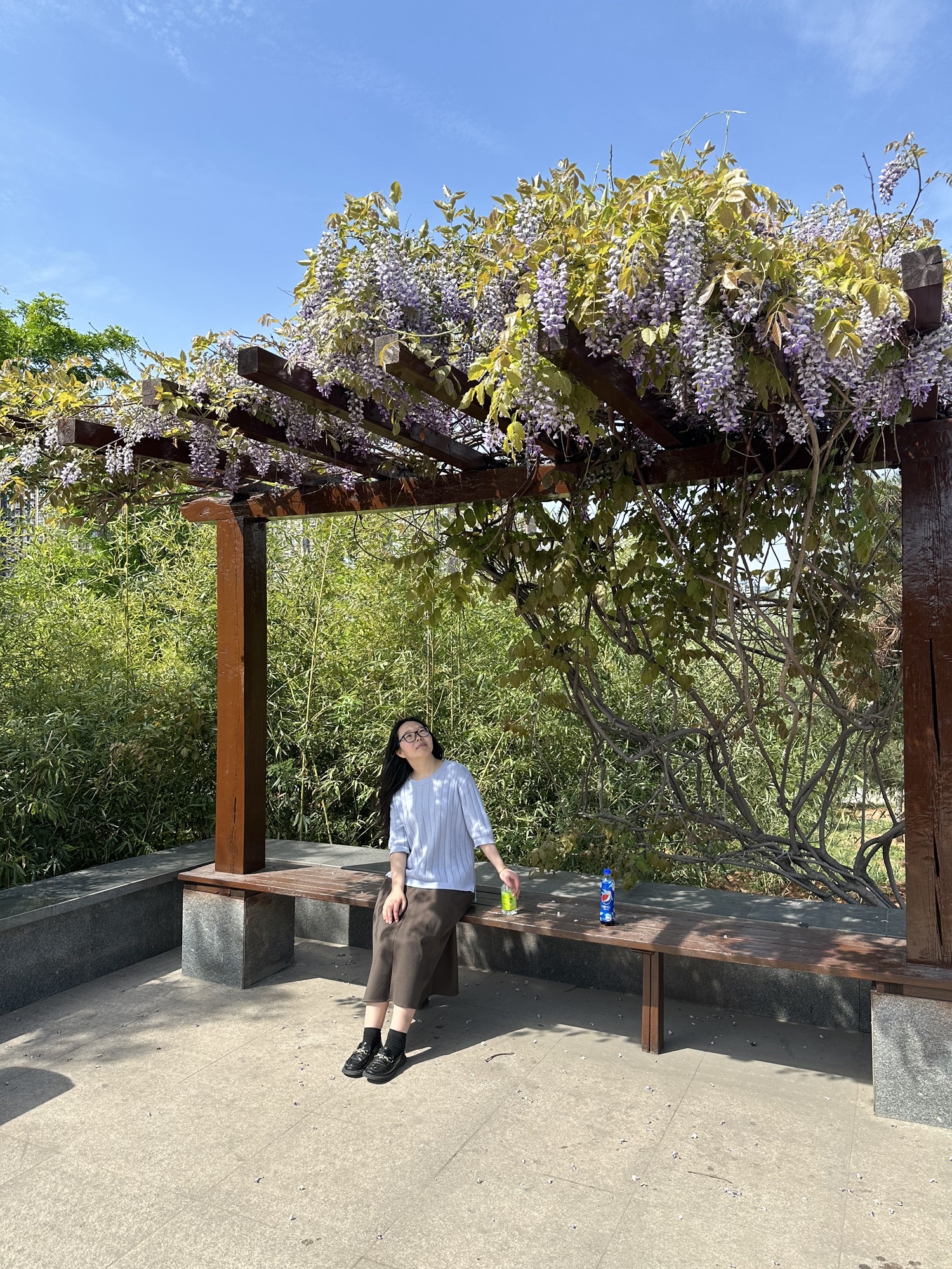伊河国家湿地公园旅行图片 2