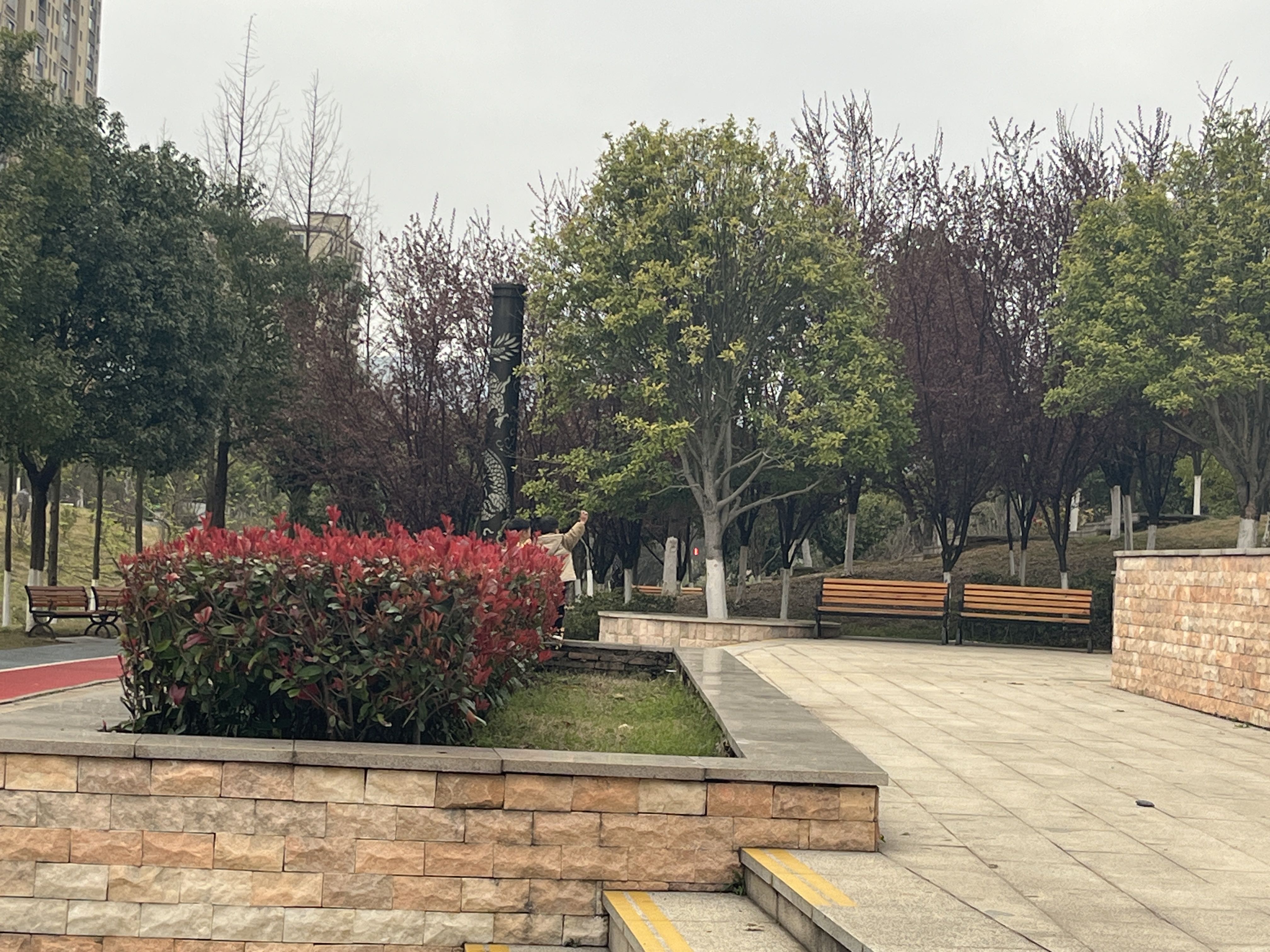 龙溪湖水生态公园旅行图片 2