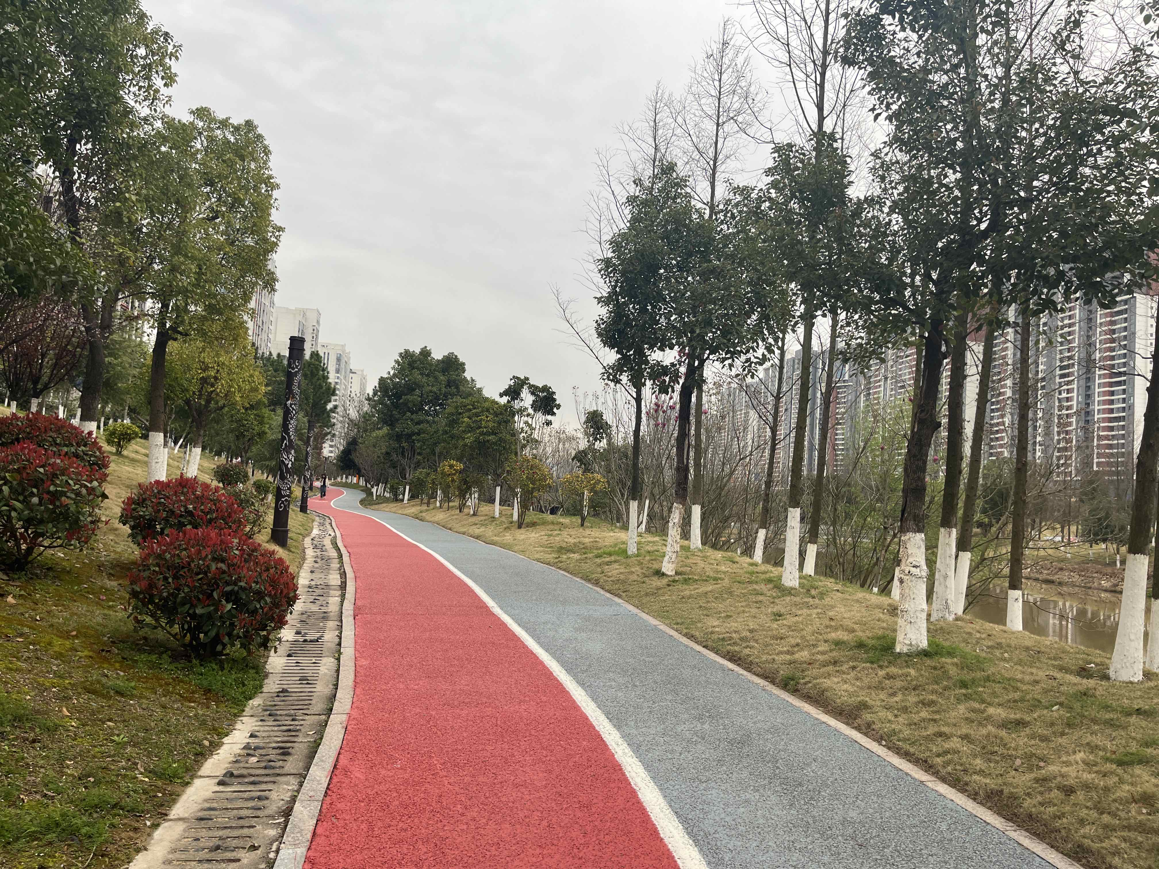 龙溪湖水生态公园旅行图片 1