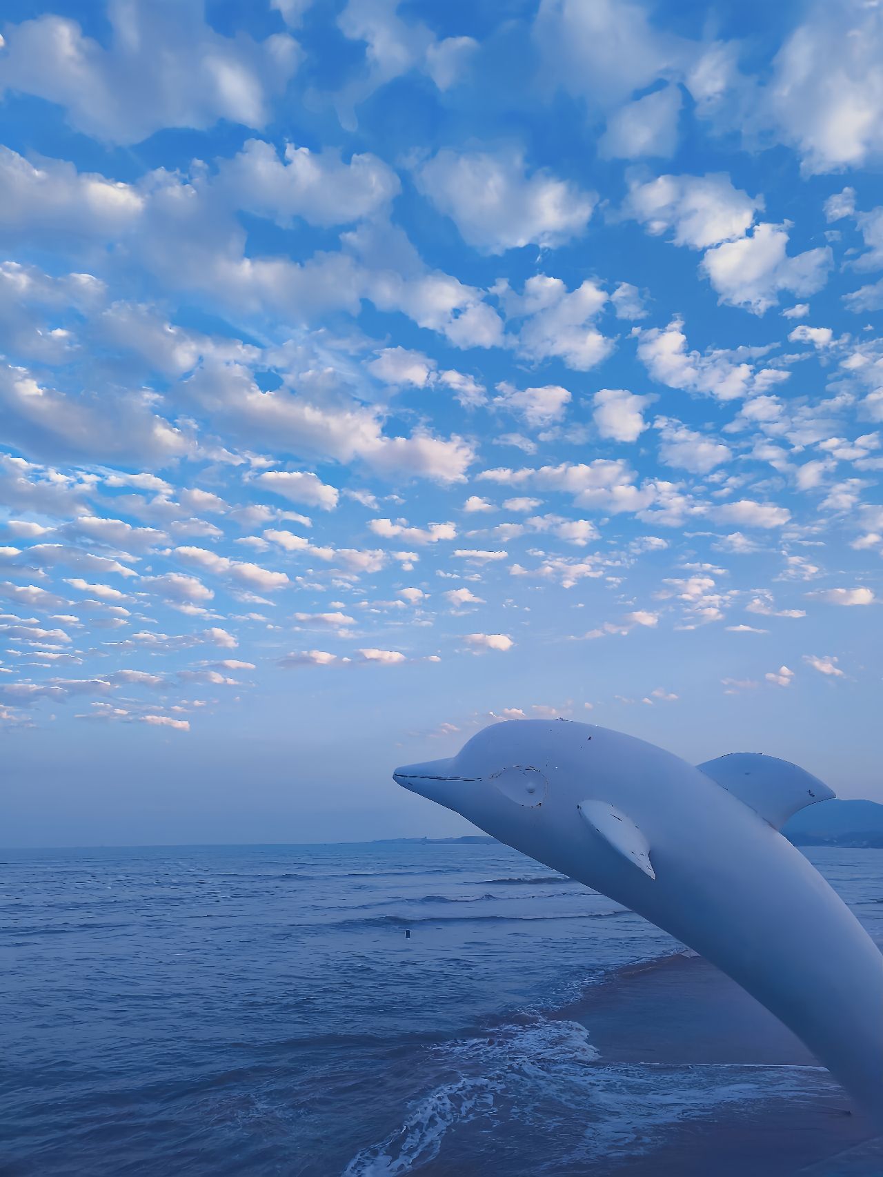 滨海公园旅行图片 2