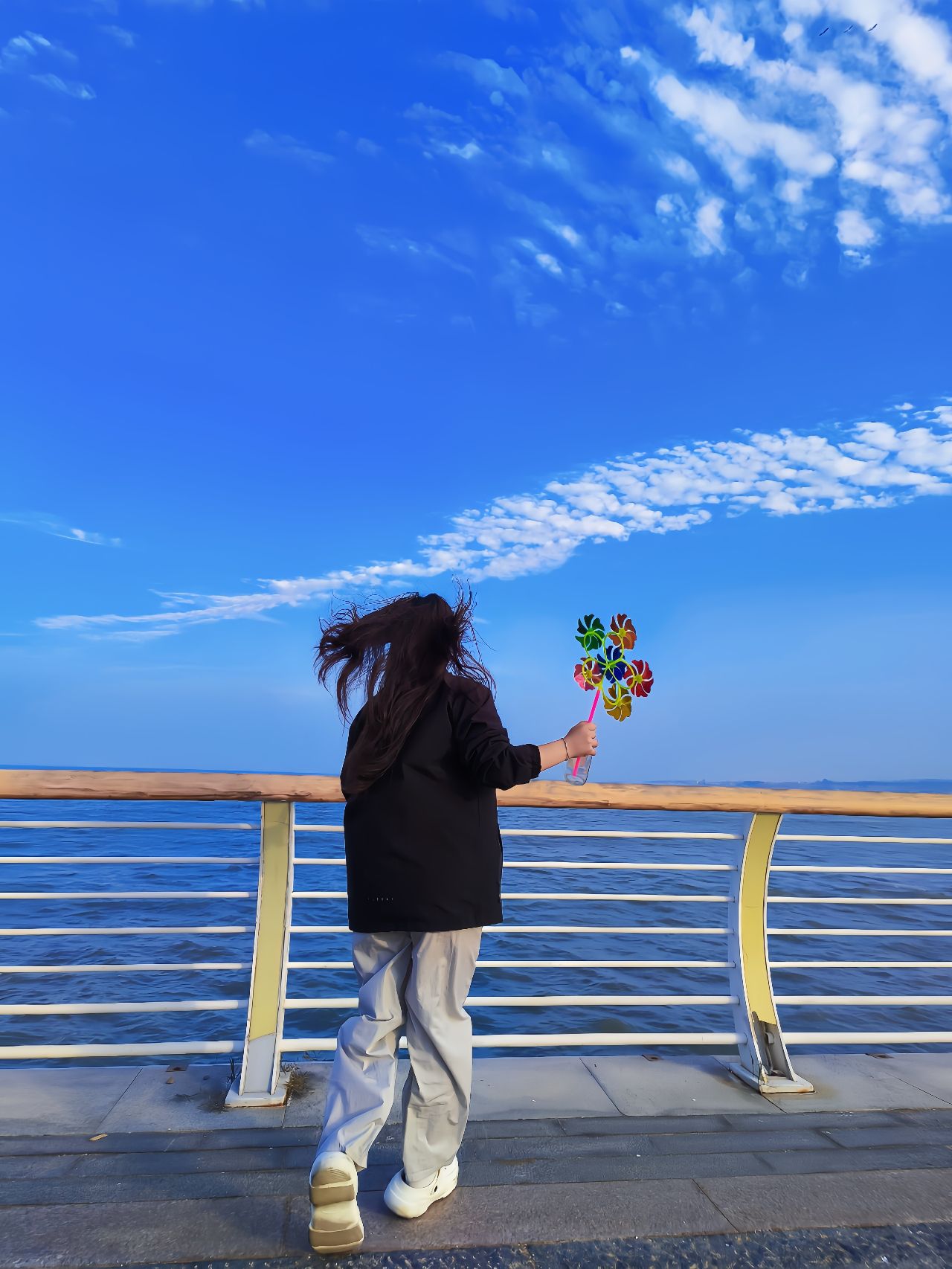 滨海公园旅行图片 1