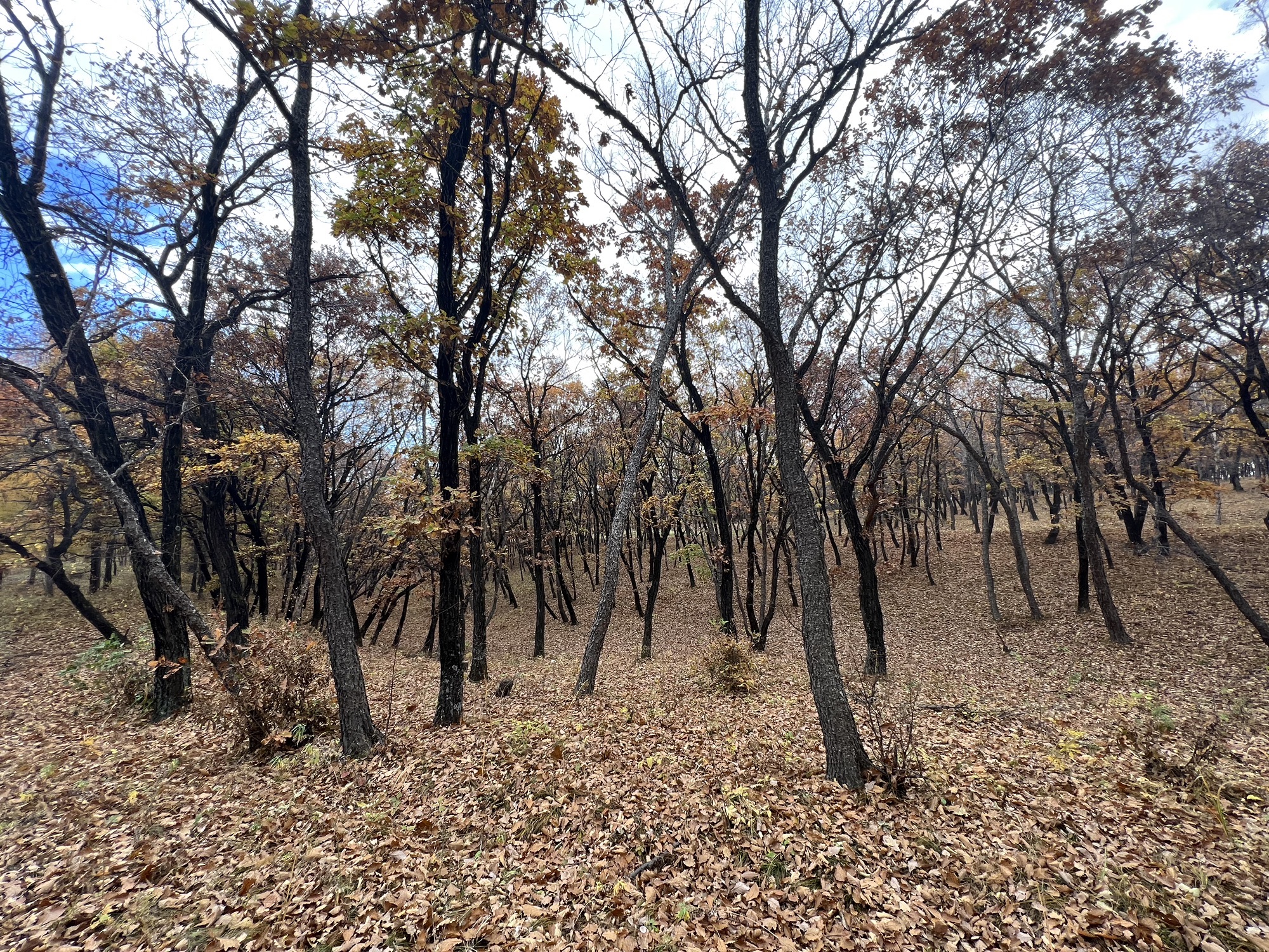 勃利密塞旅行图片 1