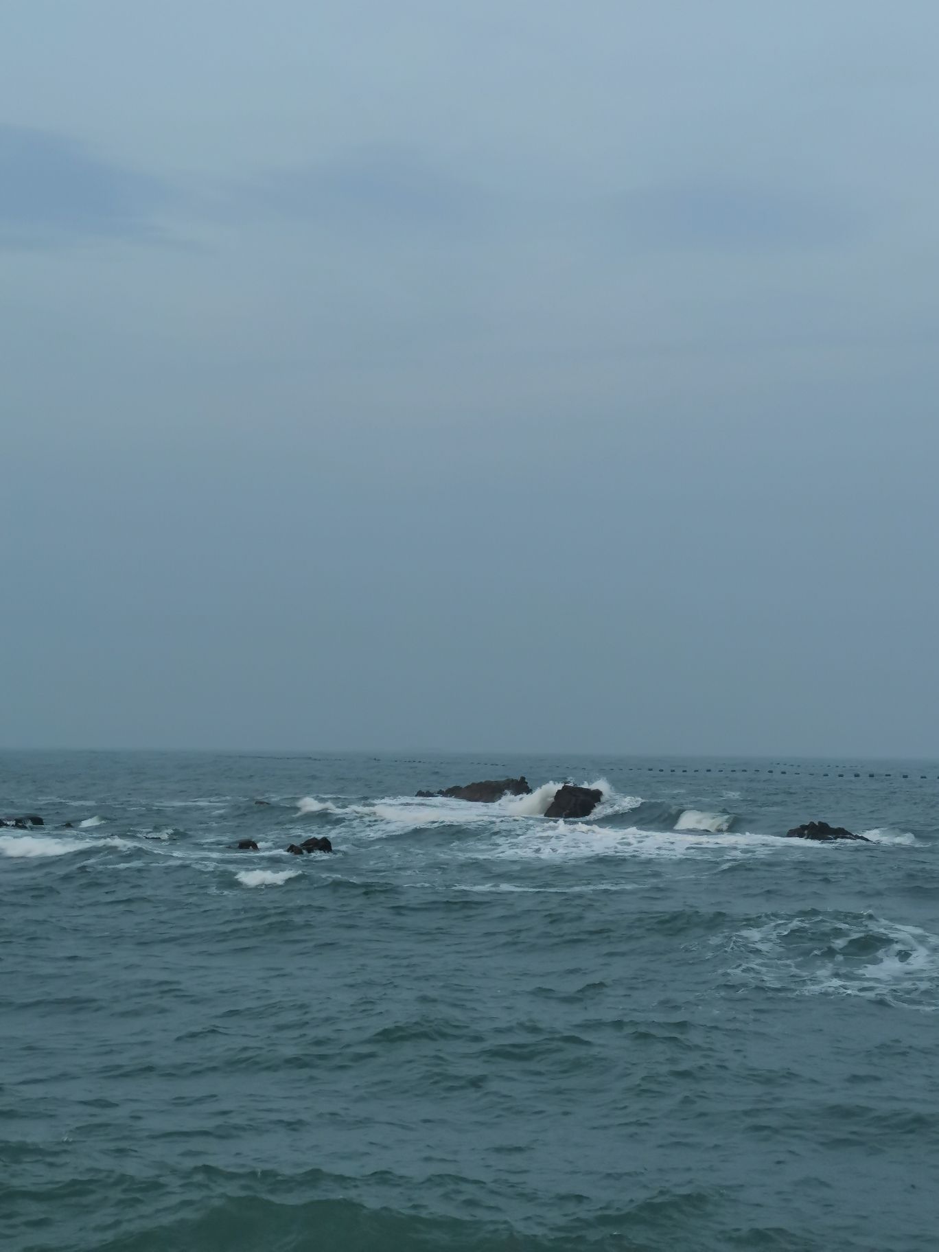 七里海湿地风光园(暂停开放)旅行图片 1