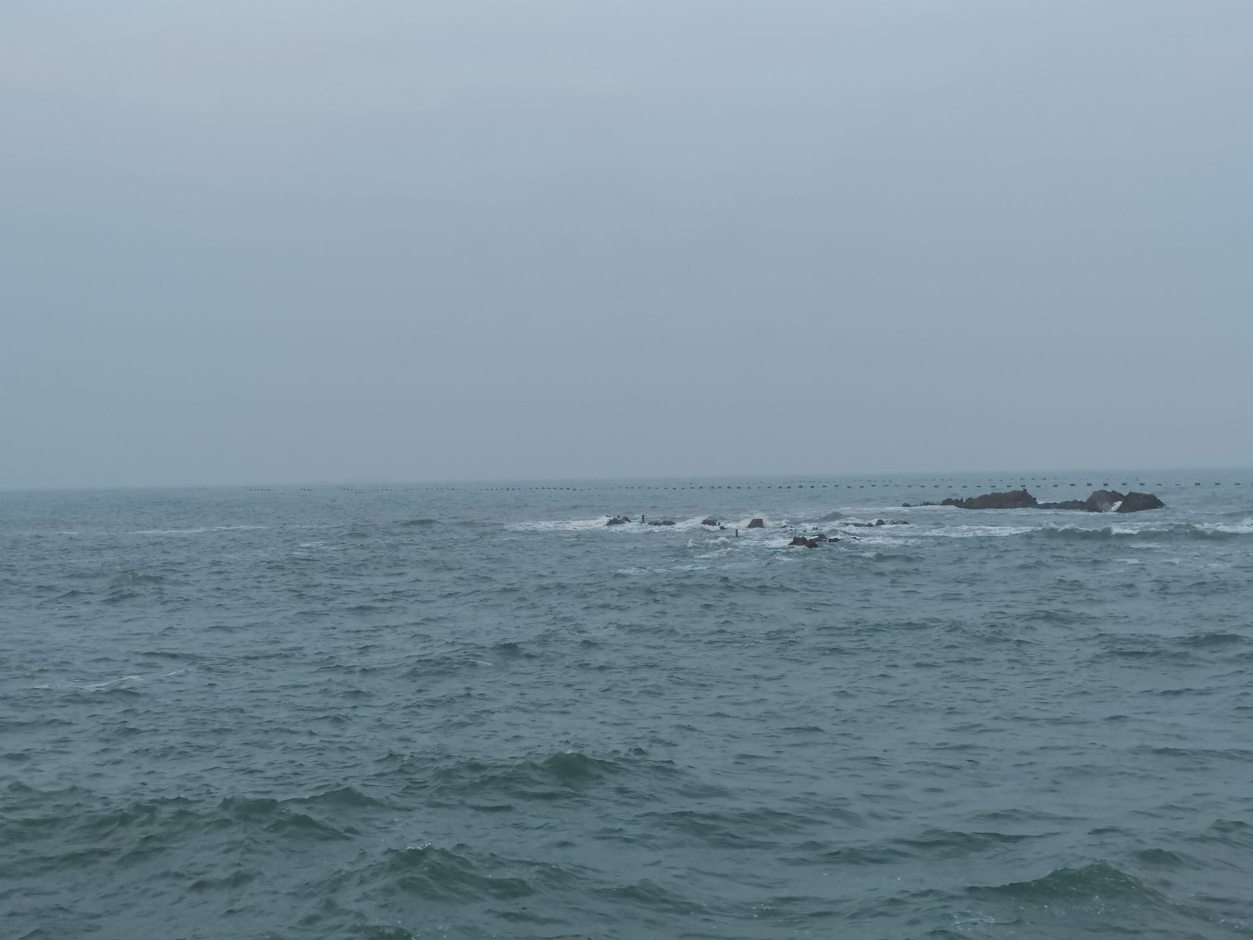 七里海湿地风光园(暂停开放)旅行图片 2