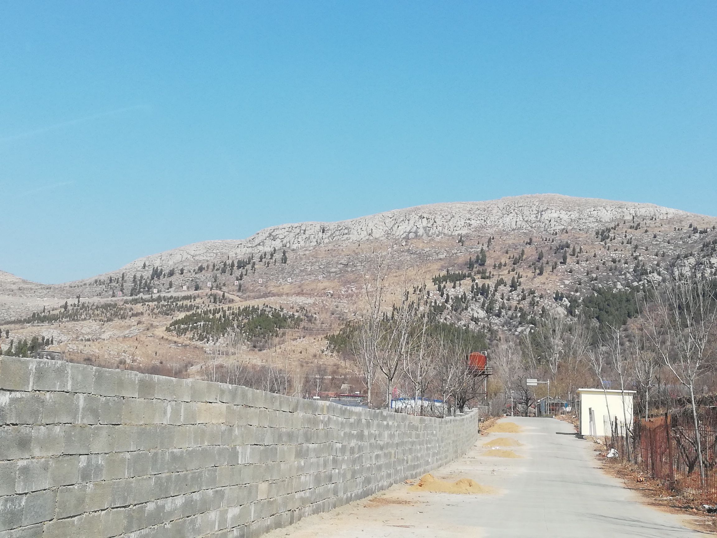 昌平山油杏观光园