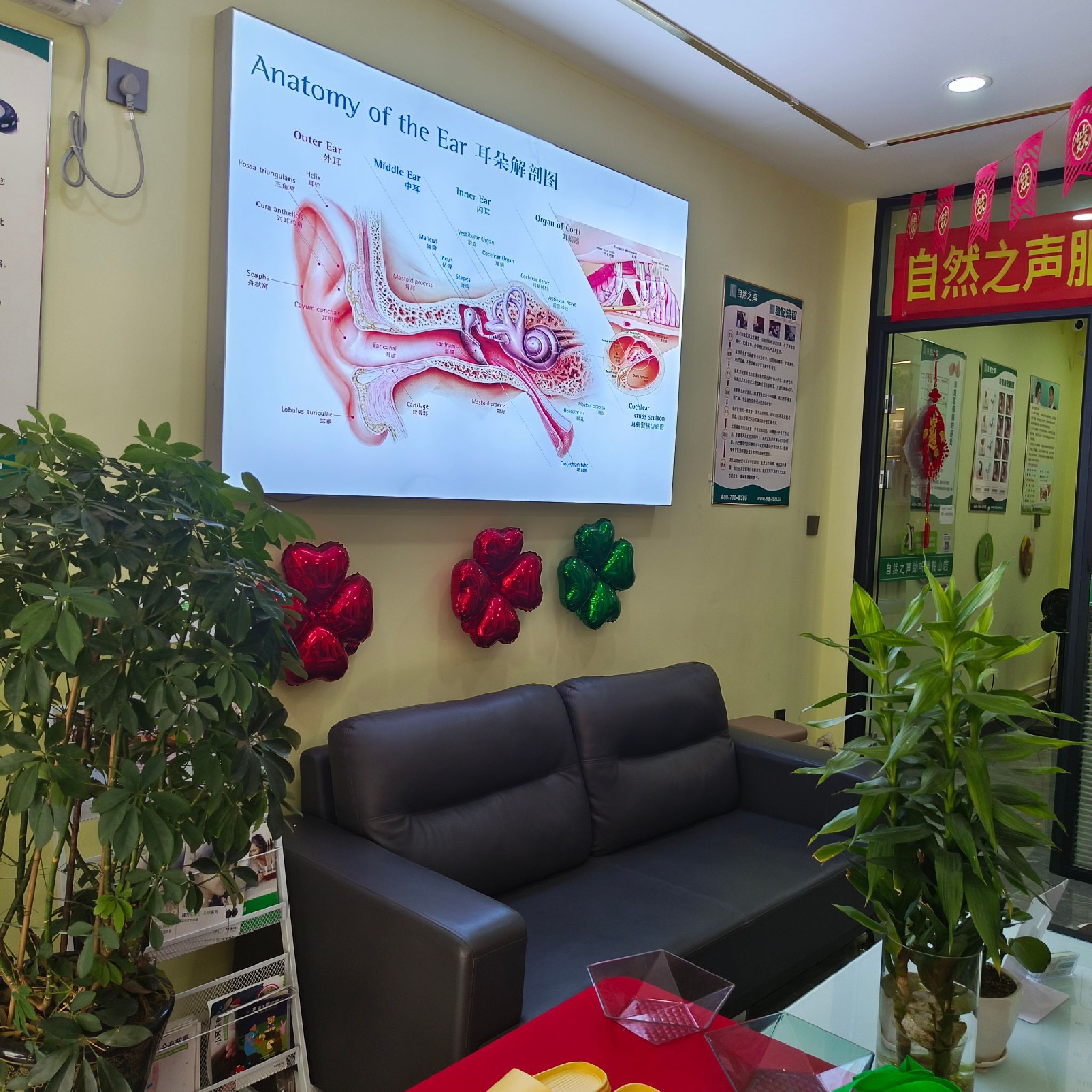 自然之声助听器·呼吸机(鞍山二道街店)