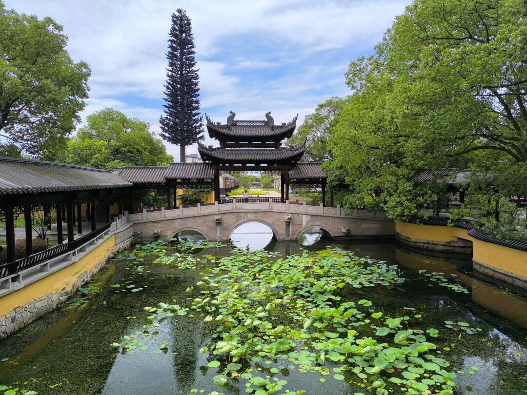 新塍古镇旅行图片 2
