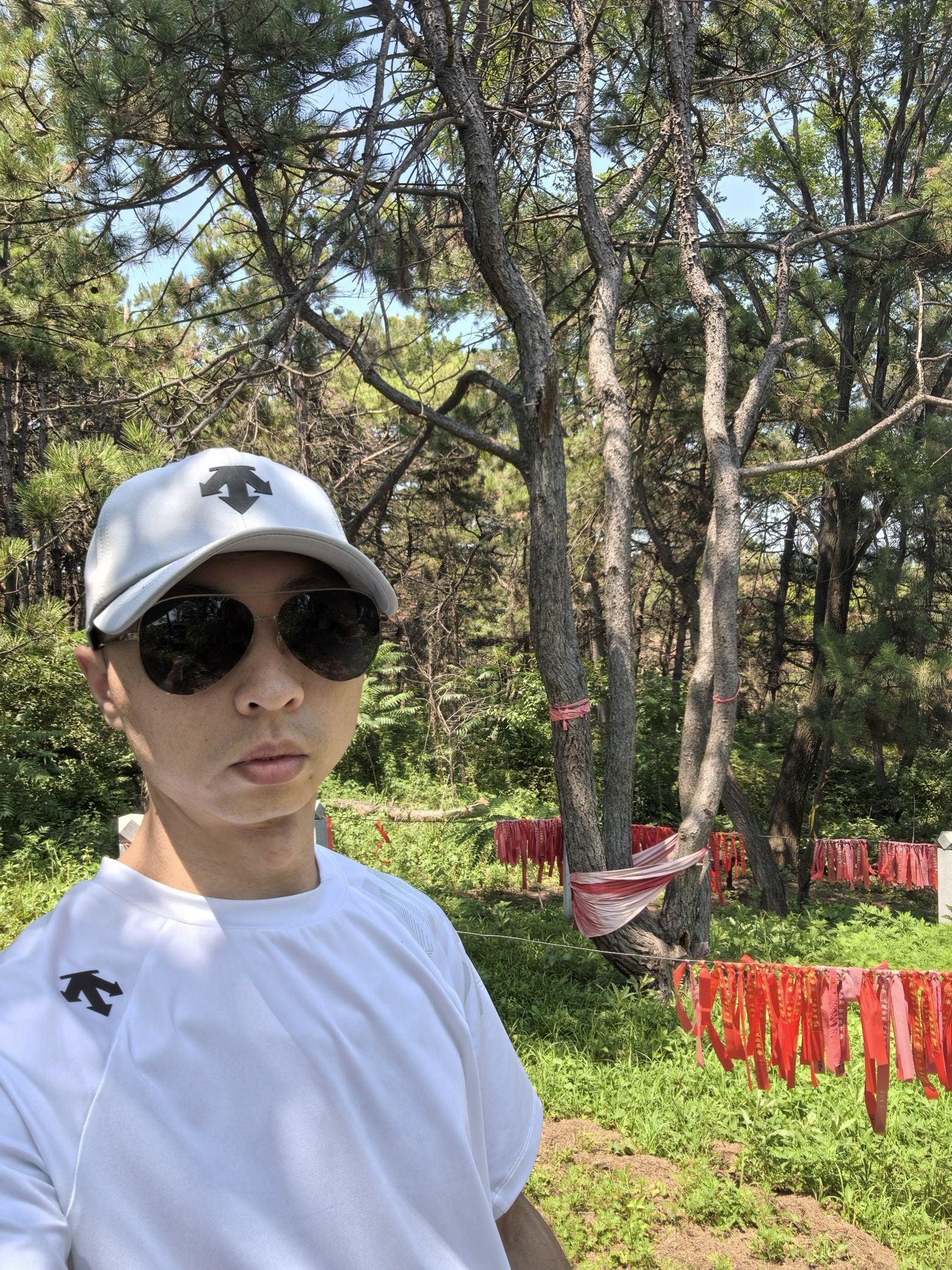 高尔山景区神树旅行图片 2