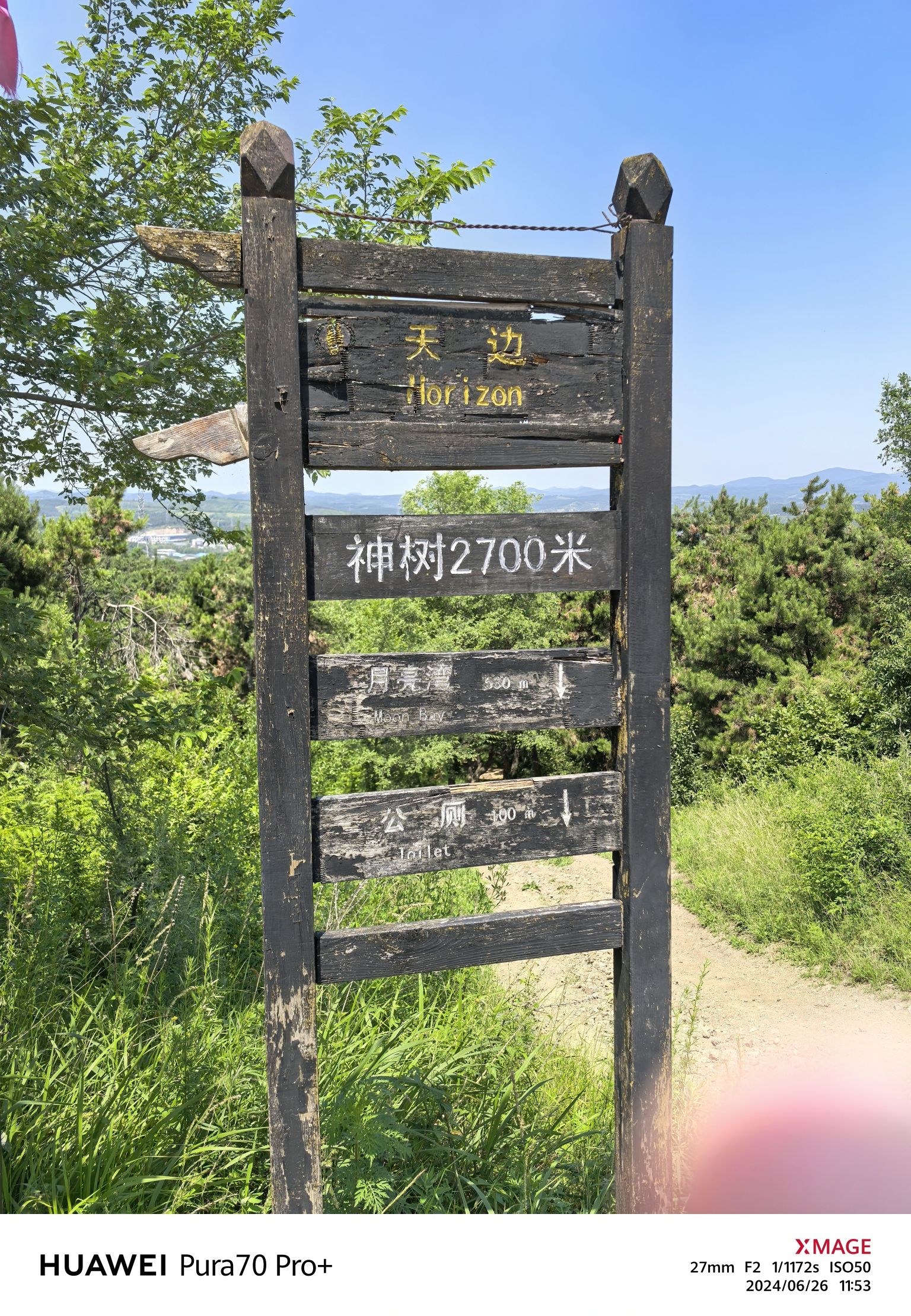 高尔山景区神树