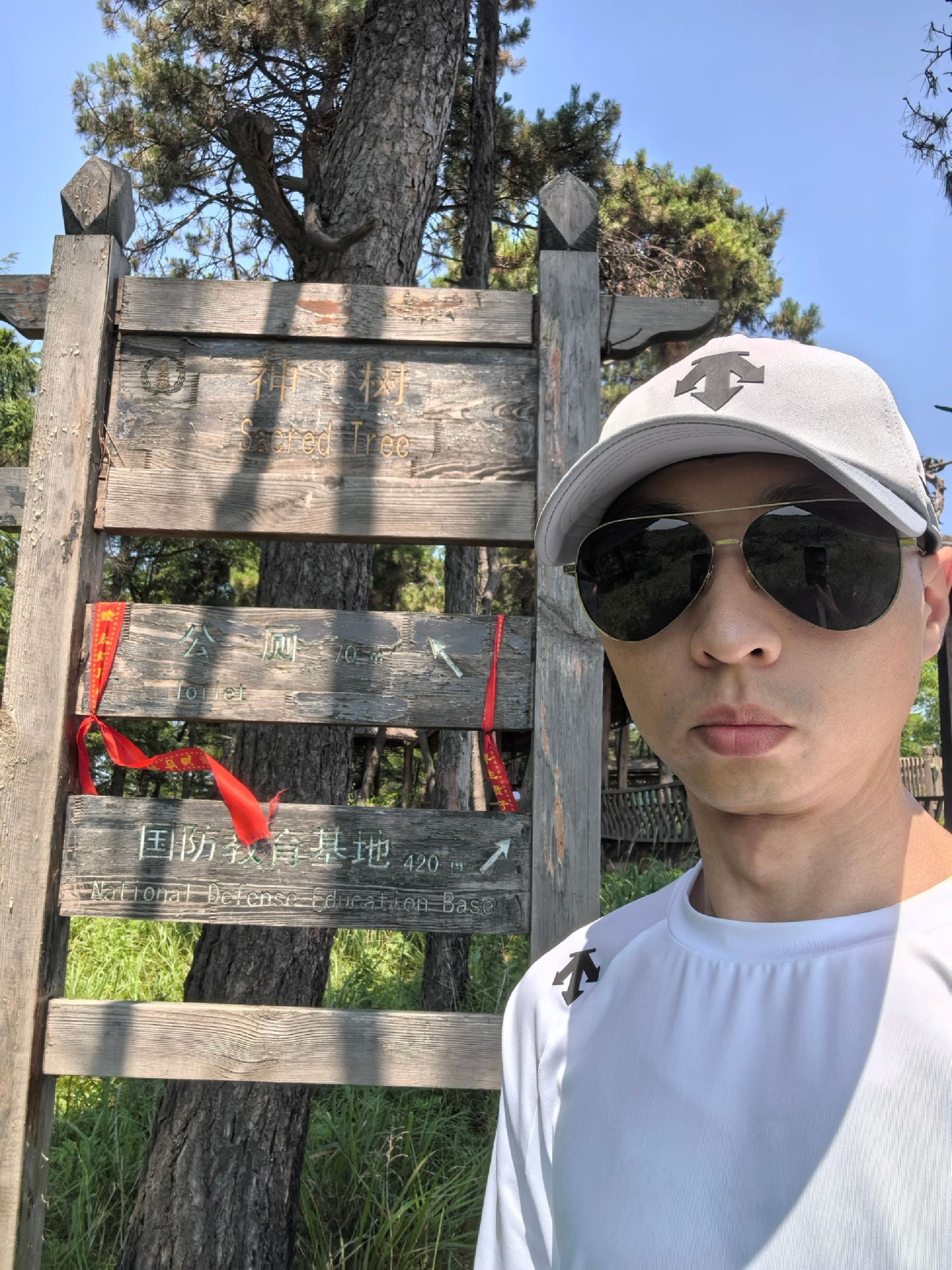高尔山景区神树旅行图片 1