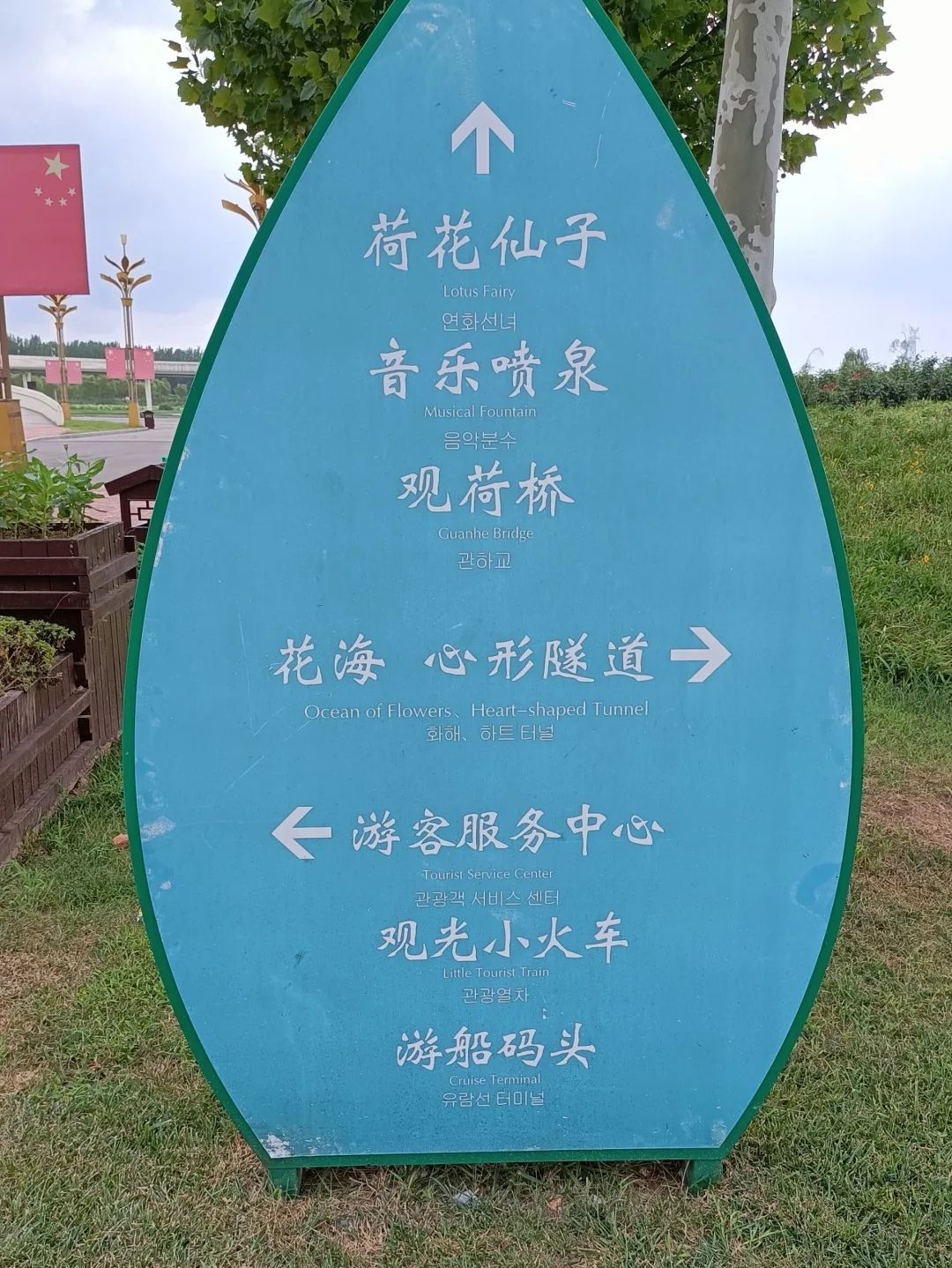 十里荷塘旅行图片 3