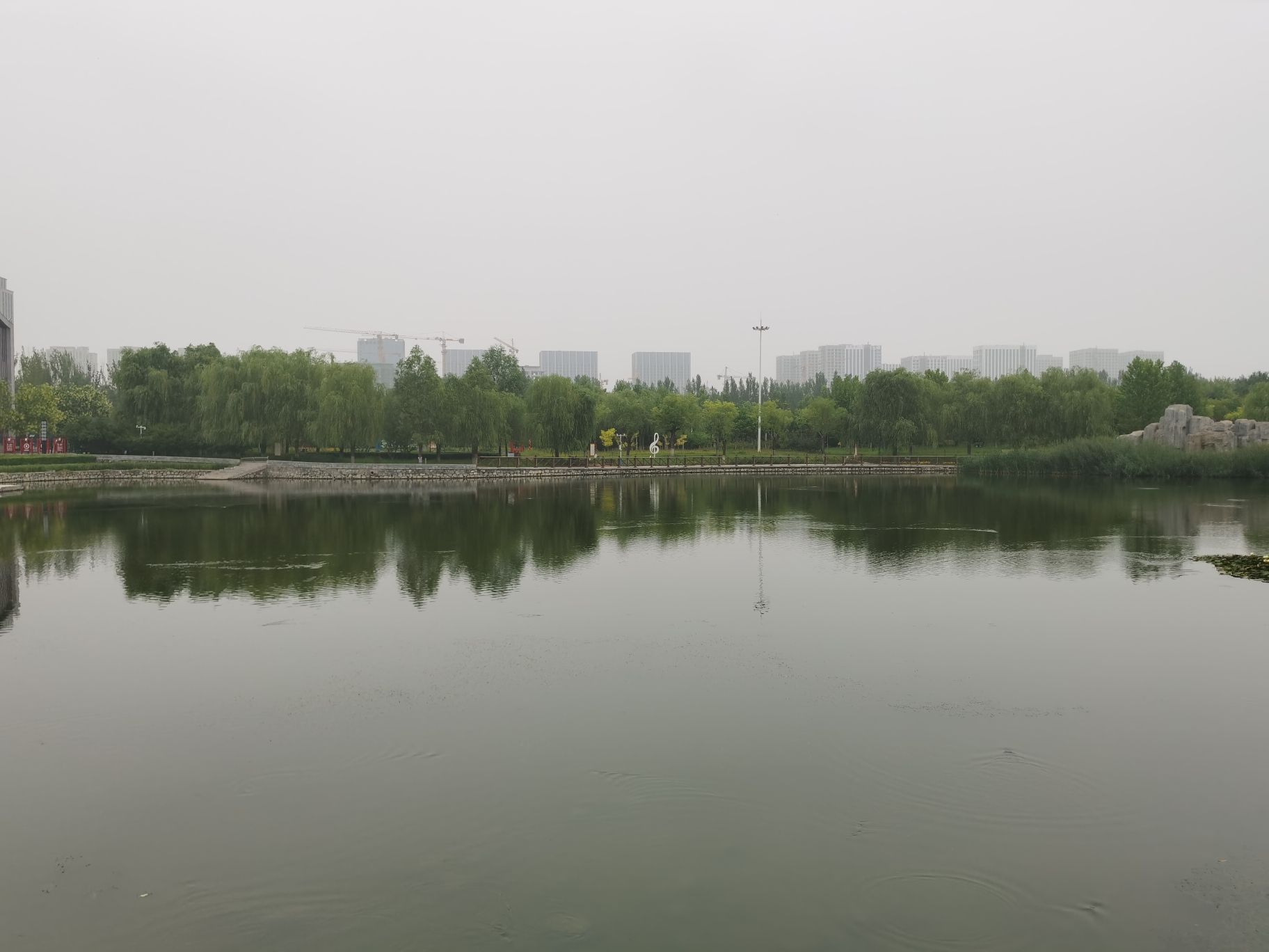 芙蓉公园旅行图片 3