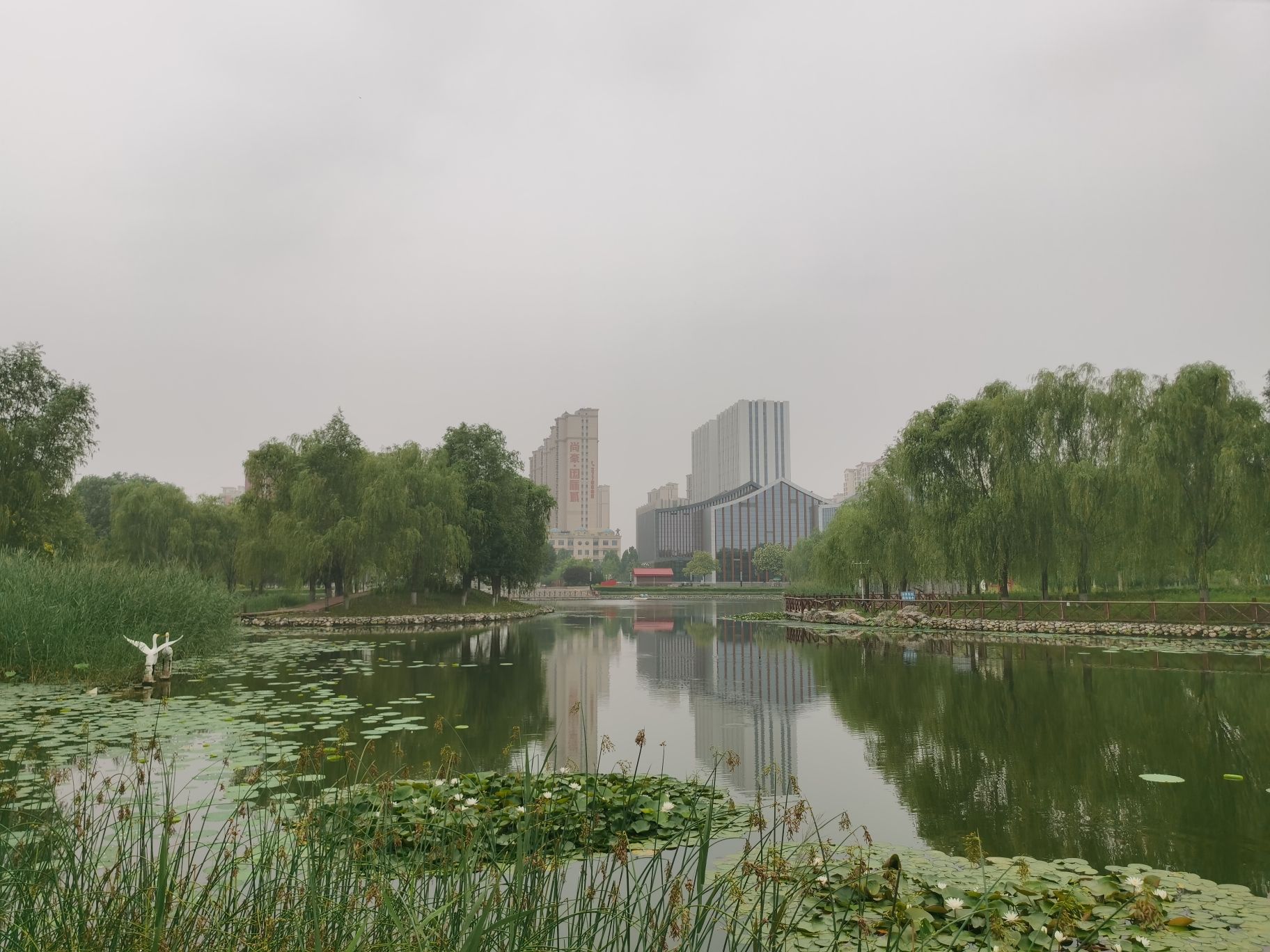 芙蓉公园旅行图片 2