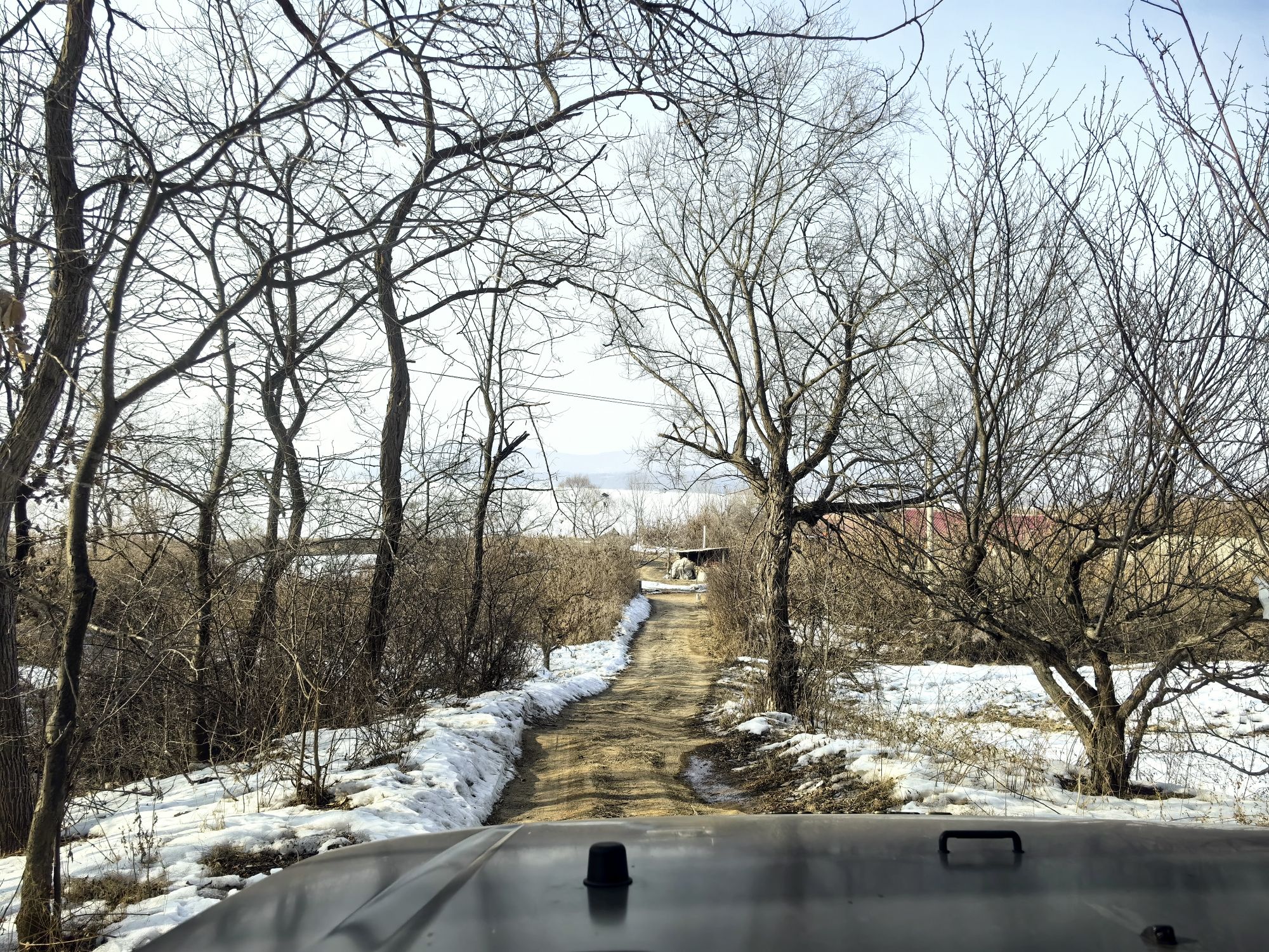 碧流河水库风景区旅行图片 1