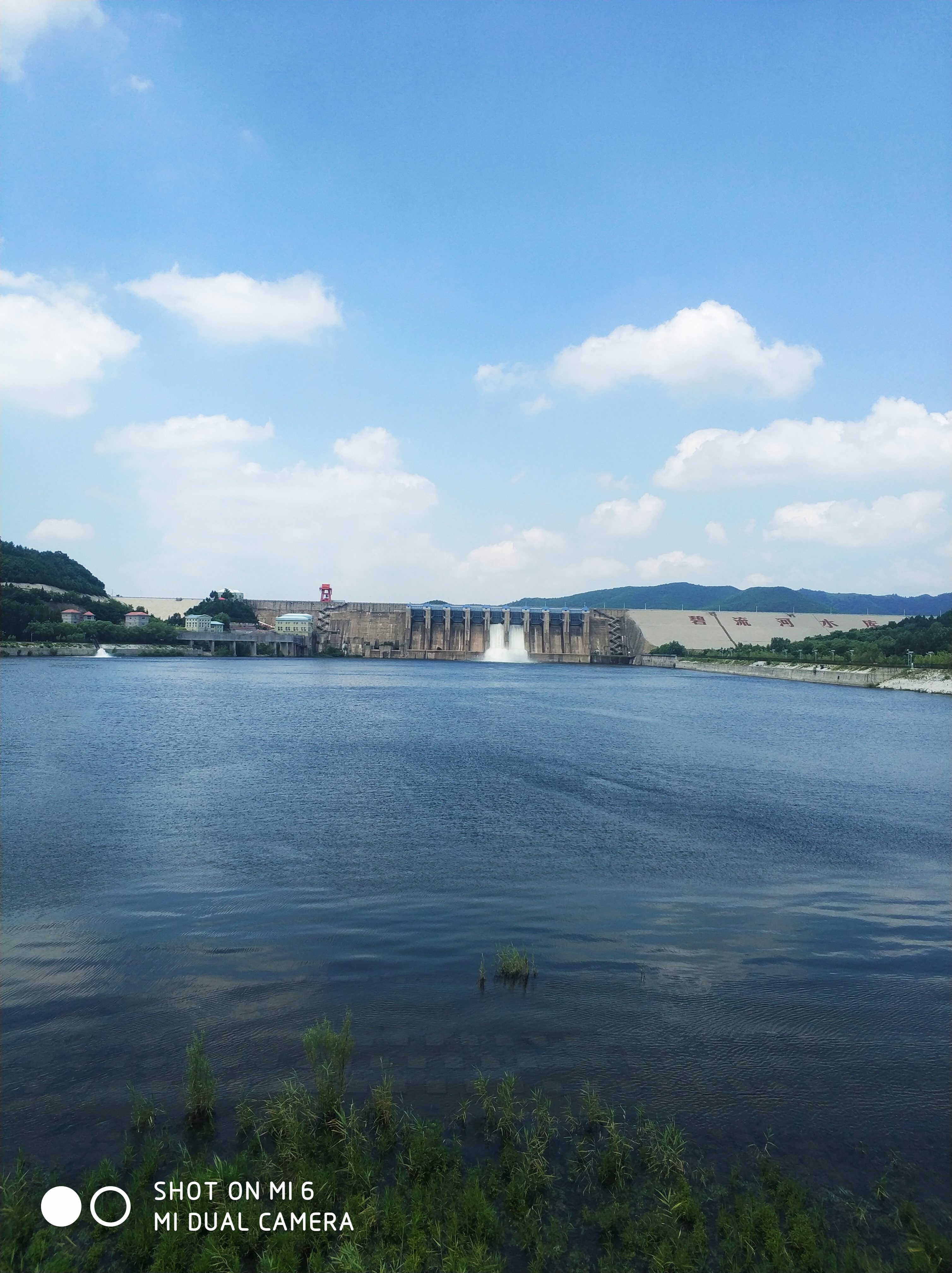 碧流河水库风景区旅行图片 3