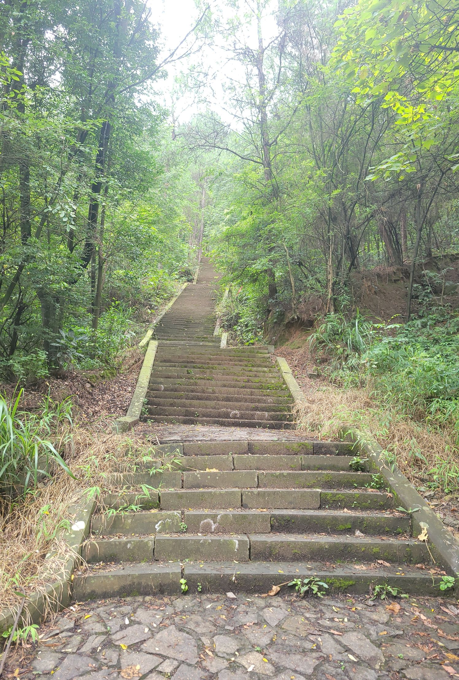 龙门步道旅行图片 2