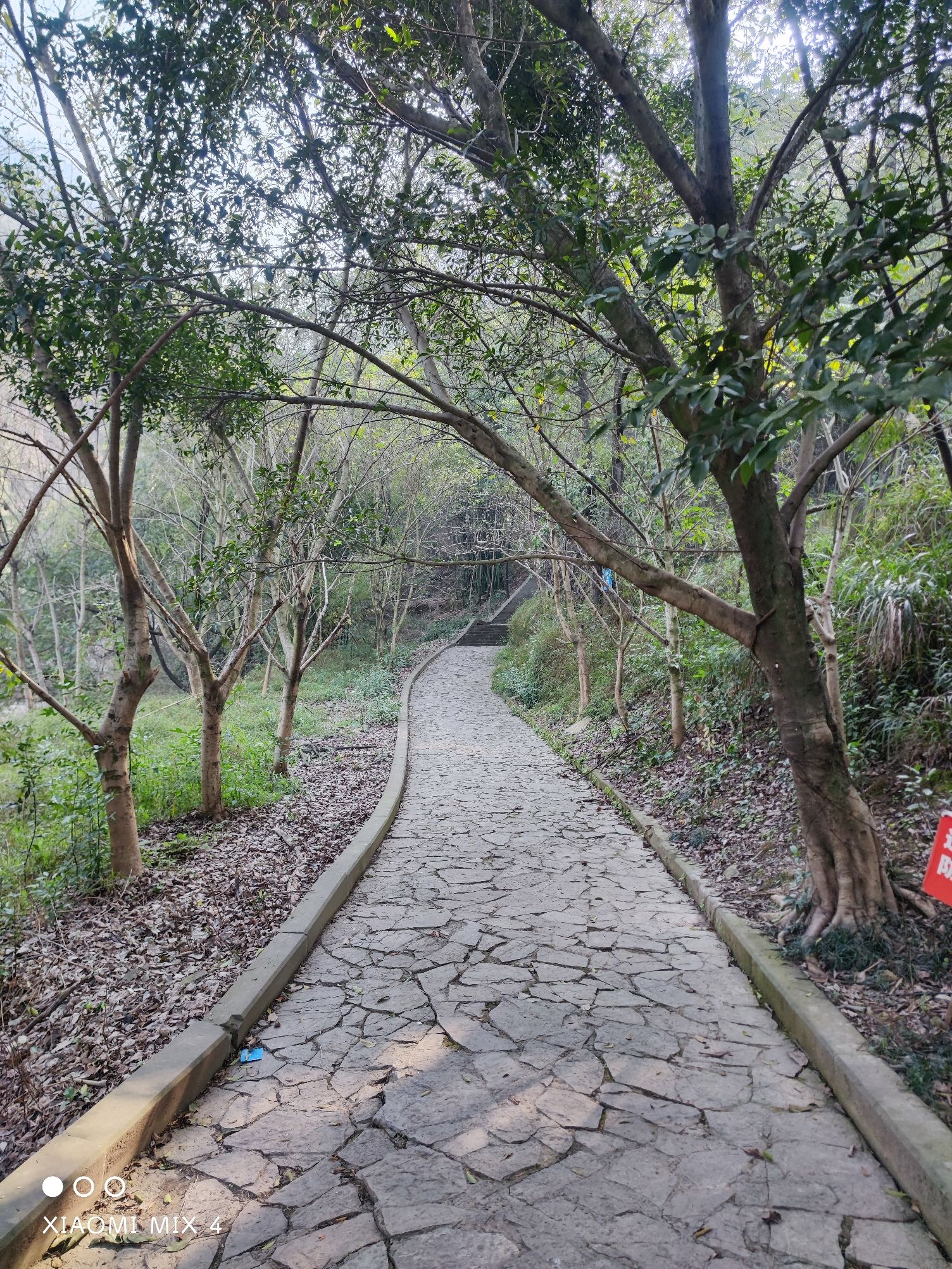 龙门步道旅行图片 2
