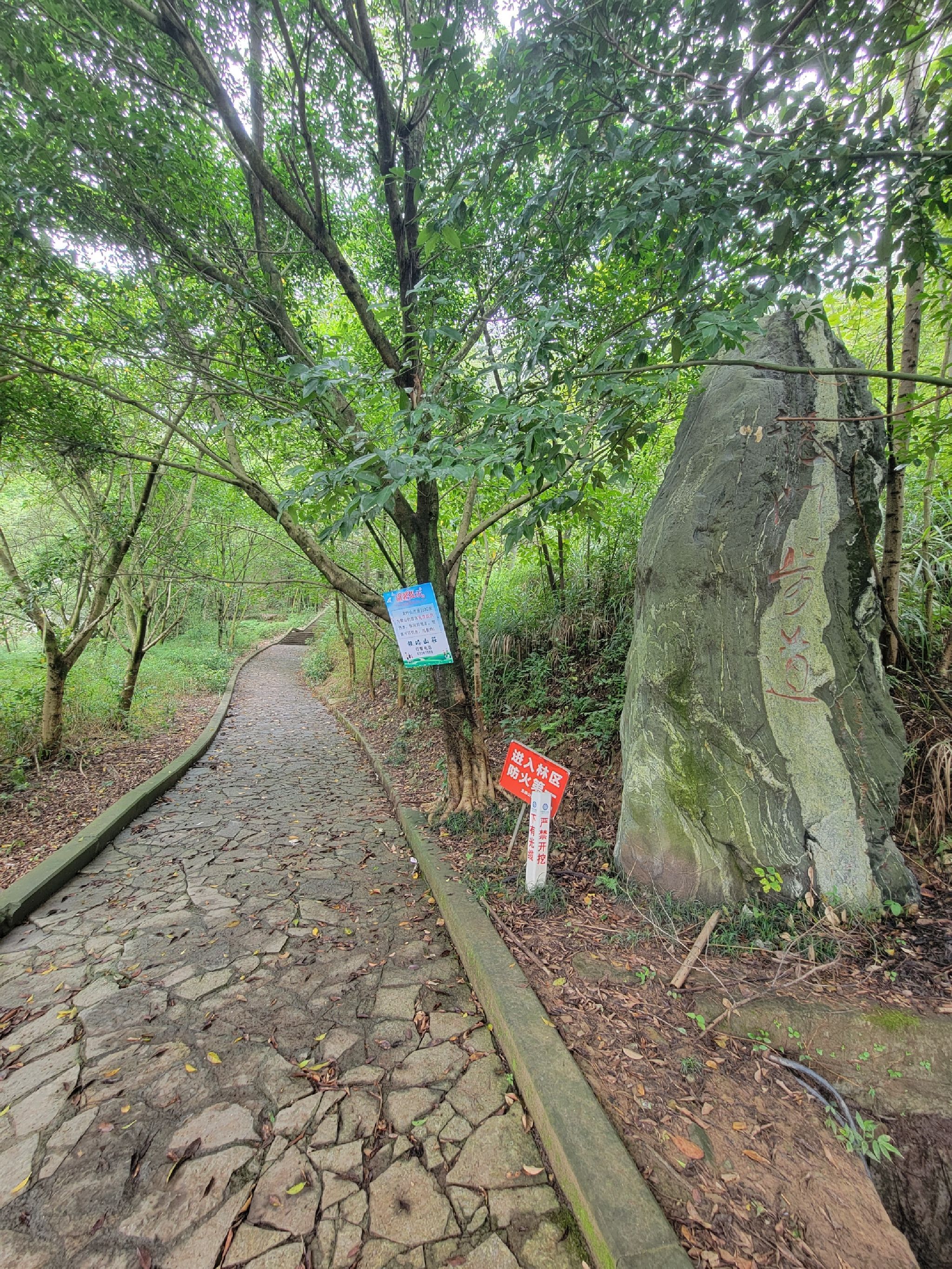 龙门步道旅行图片 1