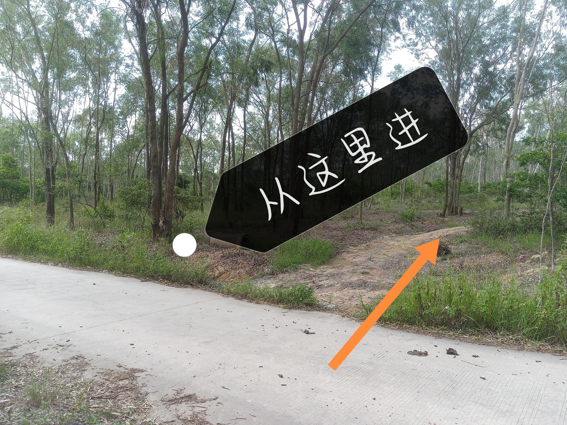 丽山森林公园旅行图片 1