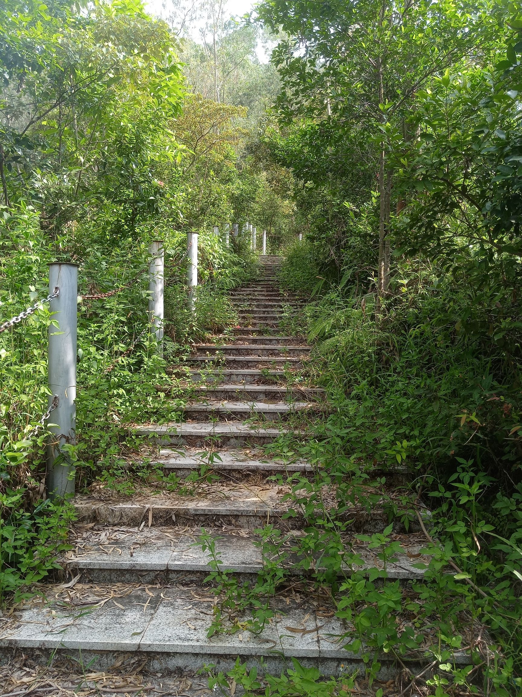 丽山森林公园旅行图片 3
