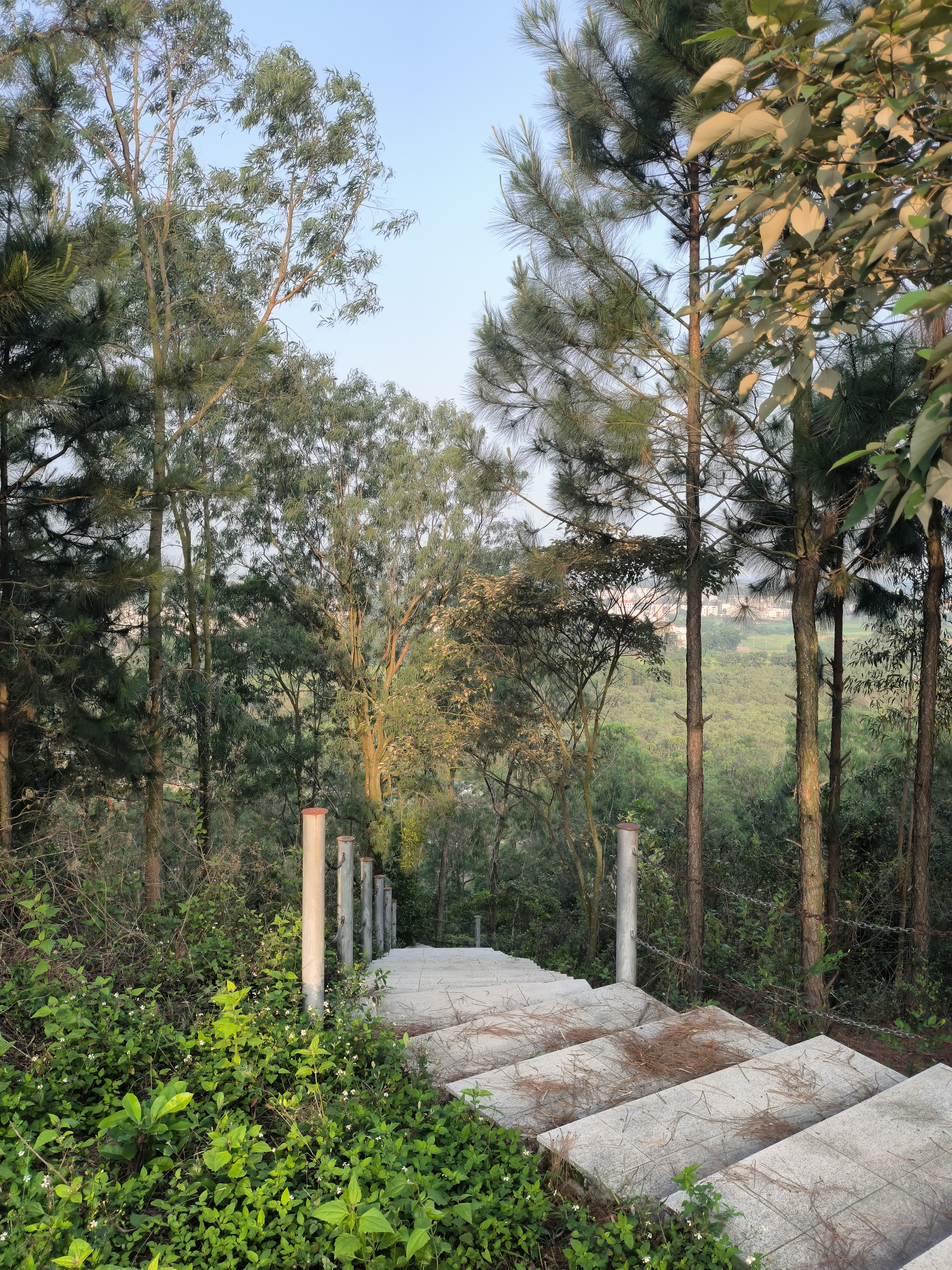 丽山森林公园旅行图片 2
