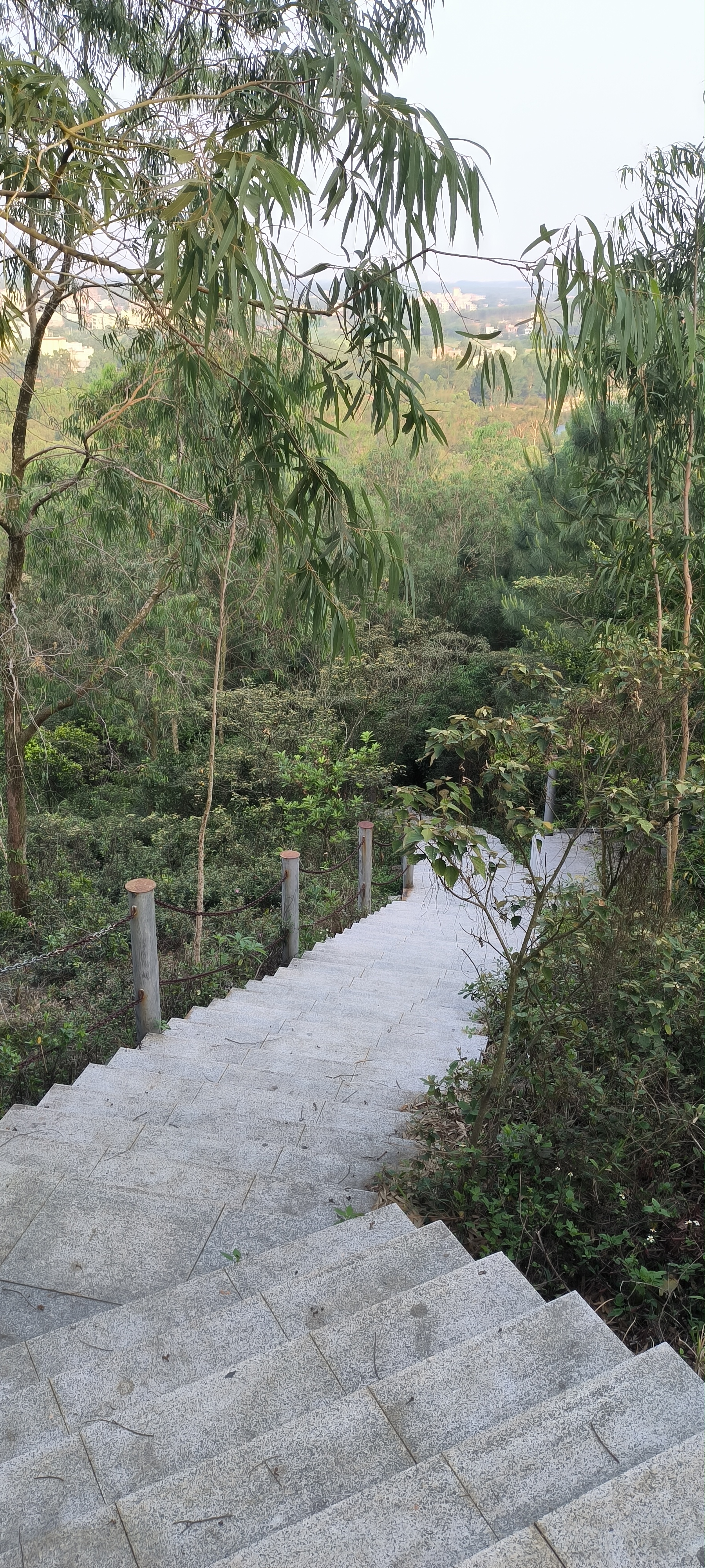丽山森林公园旅行图片 3